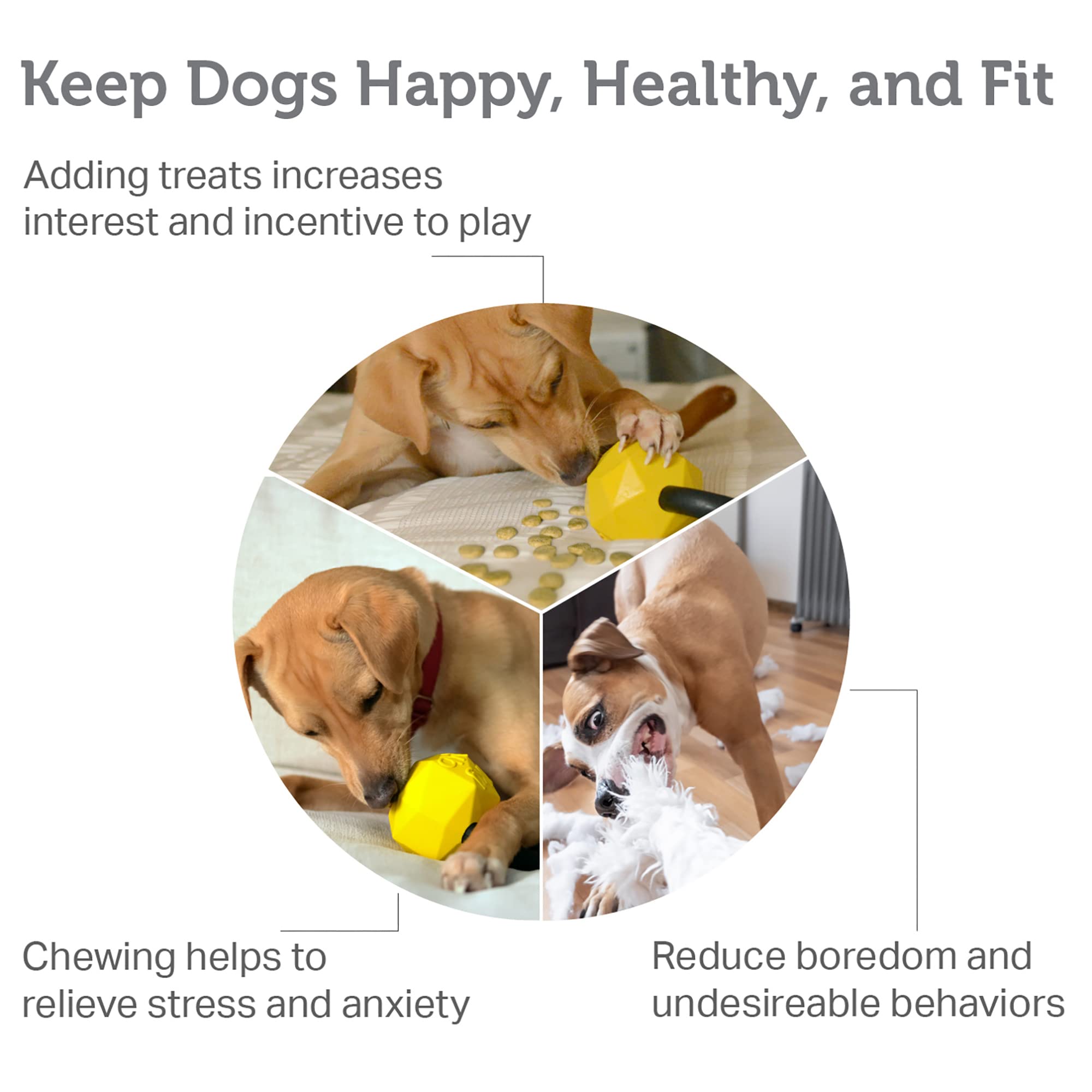 Friends Forever Dog Chew Toy, Interactive Treat Dispensing Toys, Dog Puzzle Fun Indoor Play, Non-Toxic Durable Natural Rubber, Y