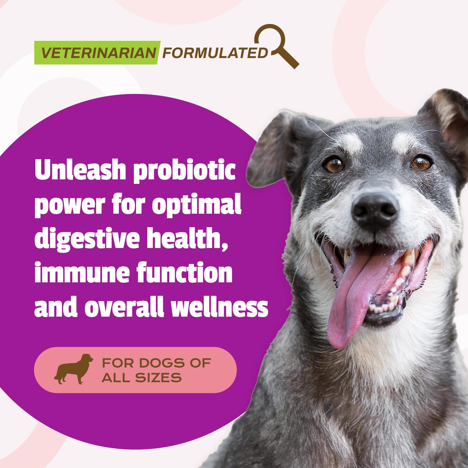 Pet Naturals Daily Probiotic for Dogs, 120M CFUs - Pre and Probiotics for Dogs Digestive Health, Gut Health, Immune Support, Dia