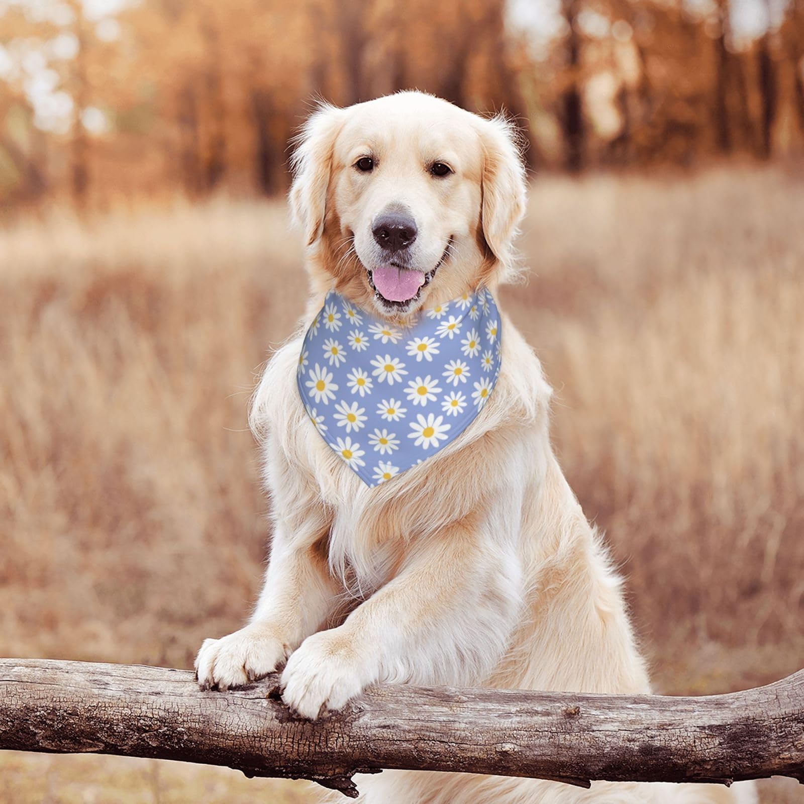 Daisy Flower Floral Purple Dog Bandana Scarf Triangle Bibs Pet Accessories Cat Kerchief