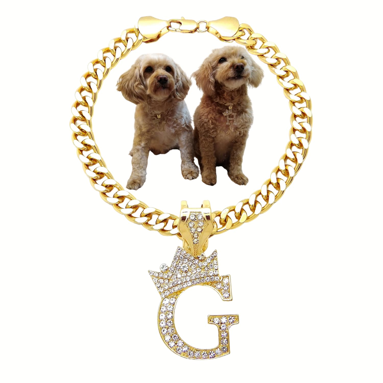 Initial Letter Cuban Chain Dog Chain Pet Chain Pet, Cat, Puppy Necklace (G, 12'')