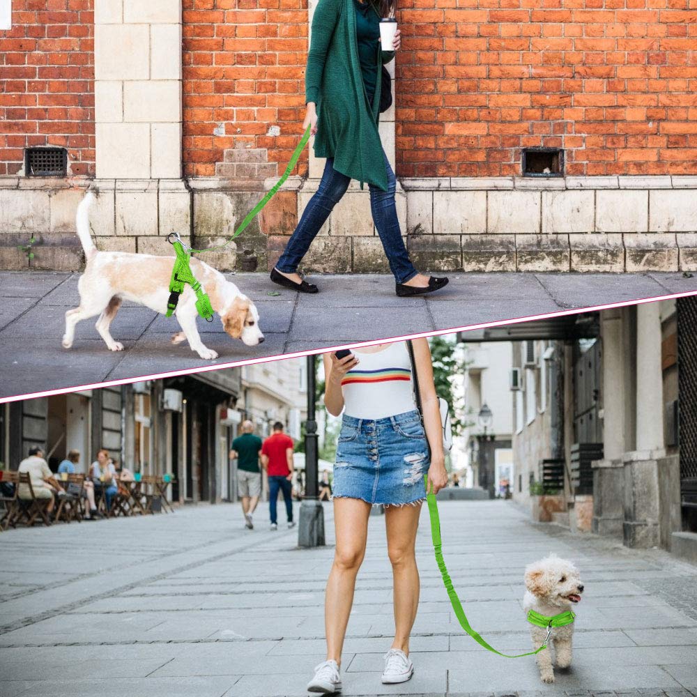 Slowton No Pull Small Dog Harness And Leash Set, Puppy Soft Vest Harness Neck & Chest Adjustable, Reflective Lightweight Harness & Anti-Twist Pet Lead Combo For Small Medium Dogs (G-Front Clip,Xxs)