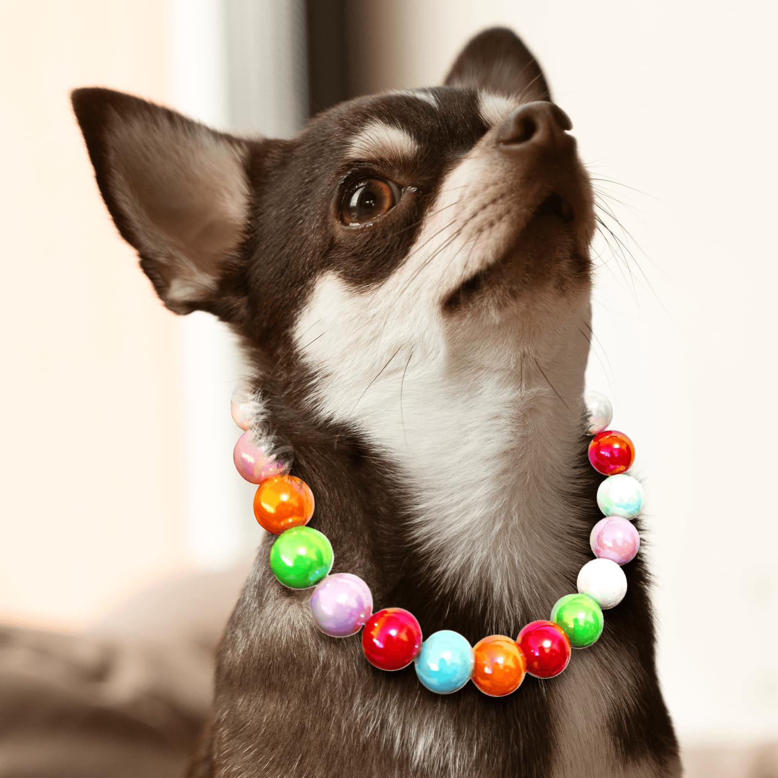 Hosiwei Handmade Rainbow Beaded Dog Collar - 16Mm Chunky Colorful Candy Pearls With Stainless Steel Wire, Adjustable Pet Necklac