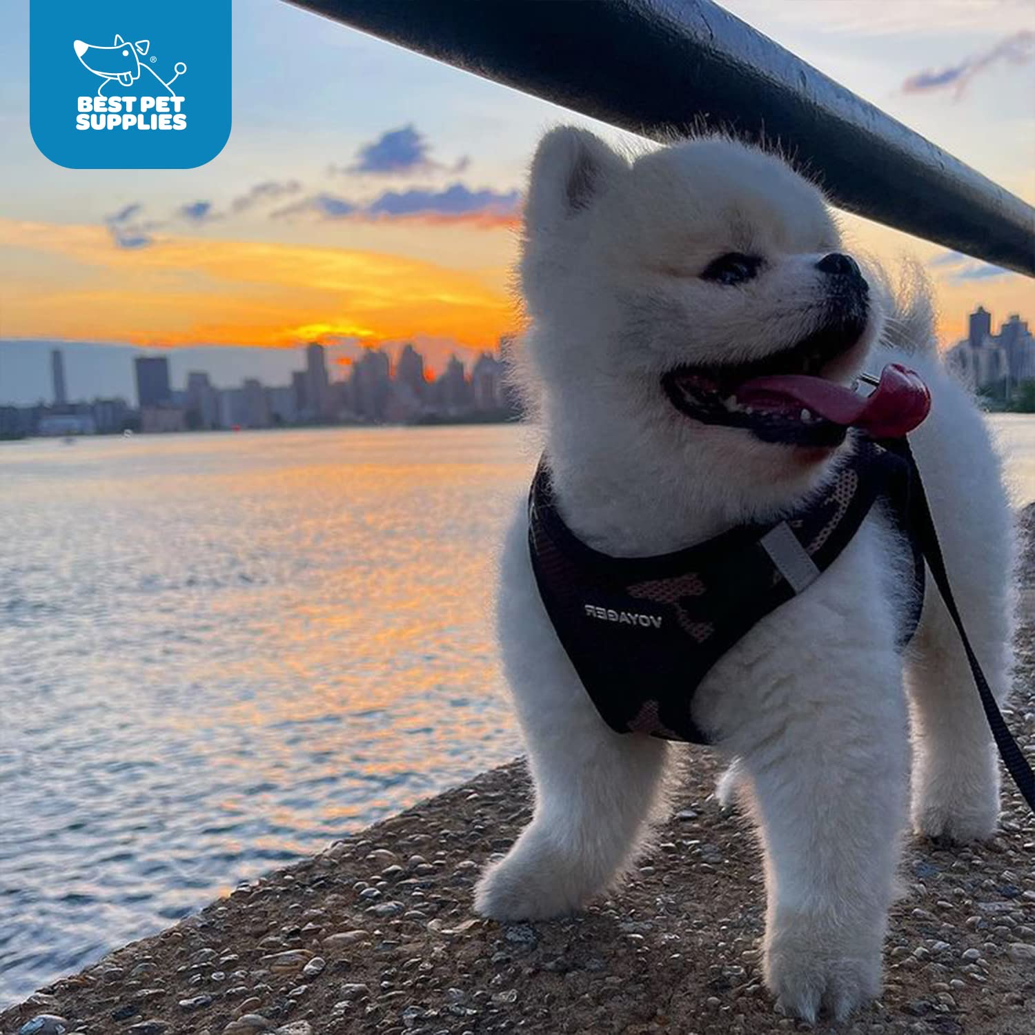 Voyager Step-In Air Dog Harness - All Weather Mesh Step In Vest Harness For Small And Medium Dogs And Cats By Best Pet Supplies - Harness (Army/Black Trim), S (Chest: 14.5-16')