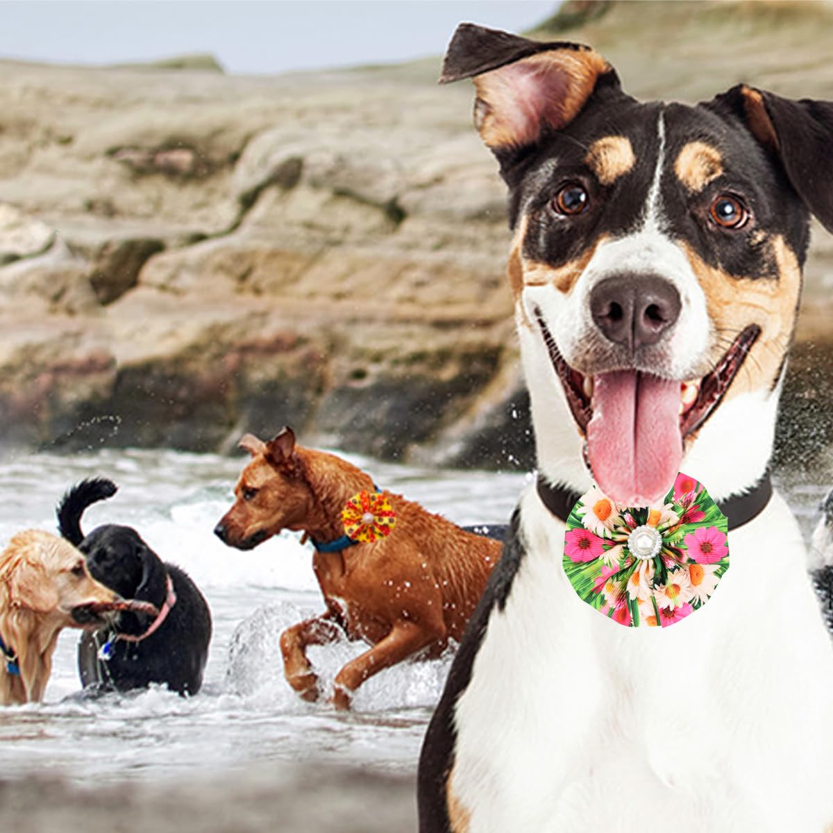 Jpgdn 12Pcs Dog Collar Flowers With Beads Pet Collar For Small And Medium Puppy Doggies Sliding Pet Collar Bow Flowers Grooming