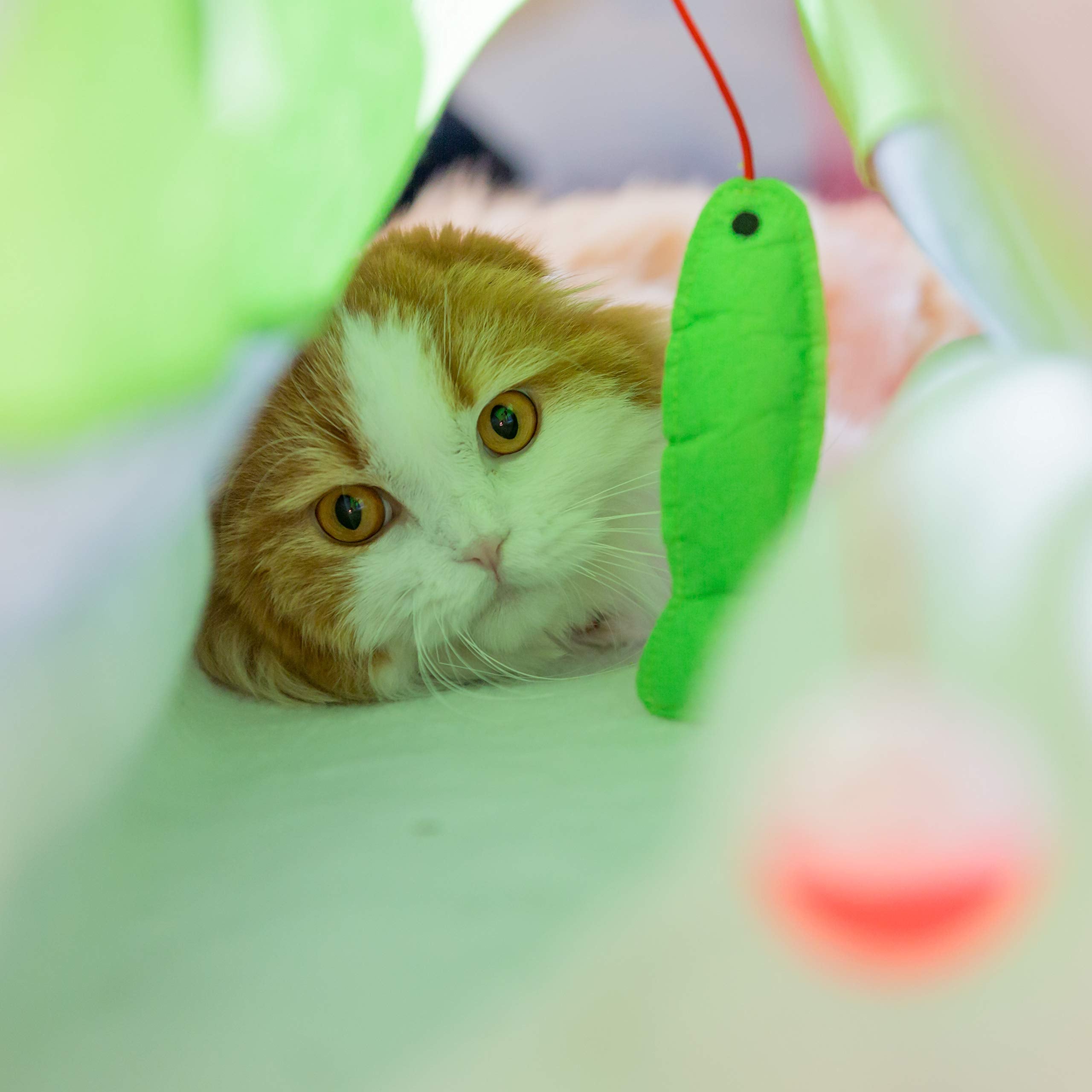 Youngever 15 Kitten Toys Assortment, Cat Play Mat, Cat Teaser Wand, Crinkle Balls For Kitten & Puppy