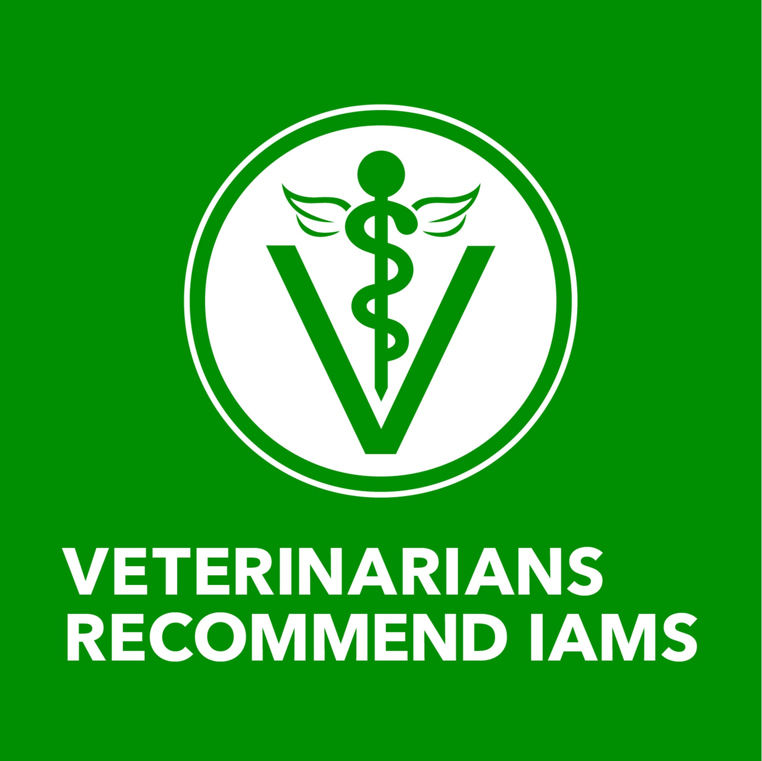 IAMS Proactive Health Puppy Wet Dog Food Classic Ground with Chicken and Rice, 13 oz. Cans, Pack of 12