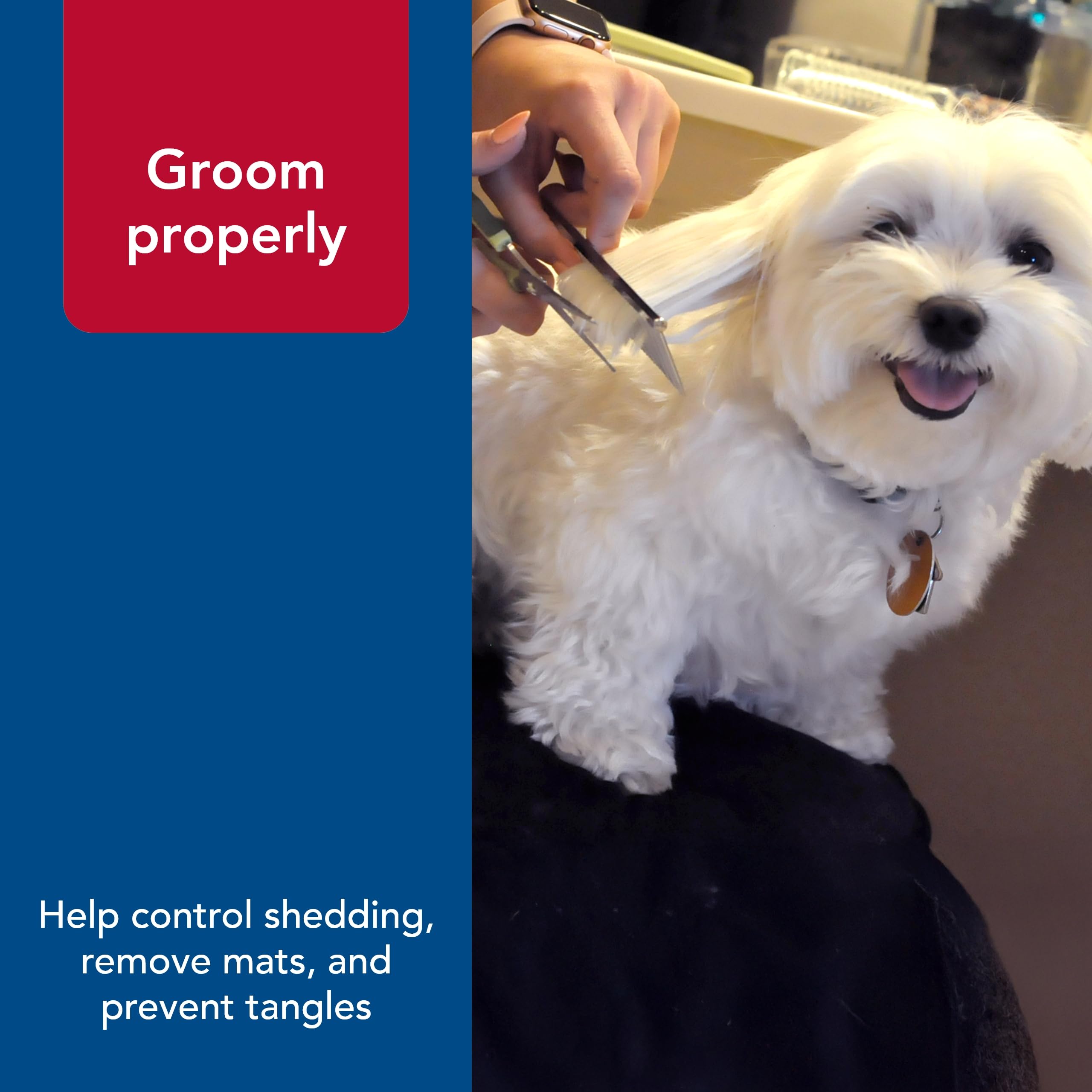 Coastal Pet Safari Dog Grooming Comb For Medium And Coarse Coats - Extra-Long Rotating Teeth - Undercoat Rake For Coarse Coats - 7 1/4'