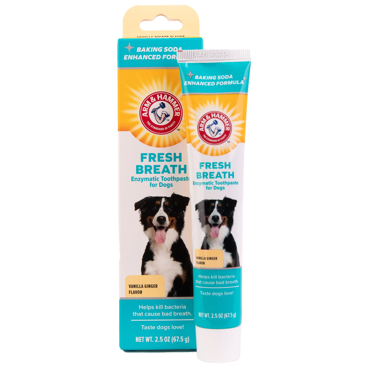 Arm & Hammer For Pets Clinical Care Dental Enzymatic Toothpaste For Dogs Soothes Inflamed Gums Safe For Puppies 1 Pack Fresh Breath Vanilla Ginger (Pack Of 1)