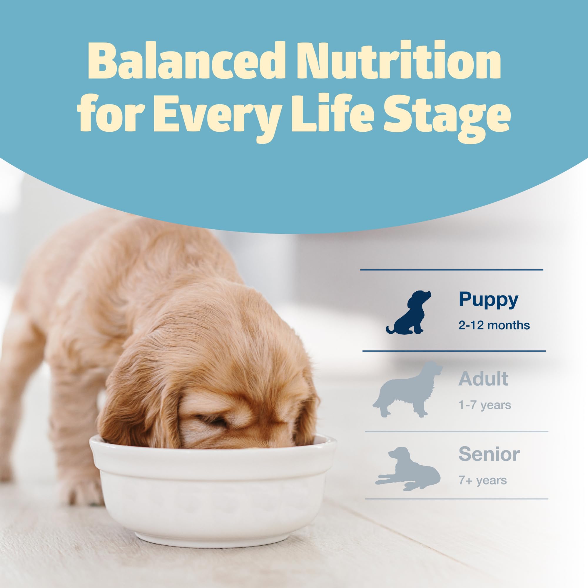 Blue Buffalo Freedom Grain-Free Puppy Dry Dog Food with DHA, Complete & Balanced Nutrition for Puppies, Made in the USA, Chicken