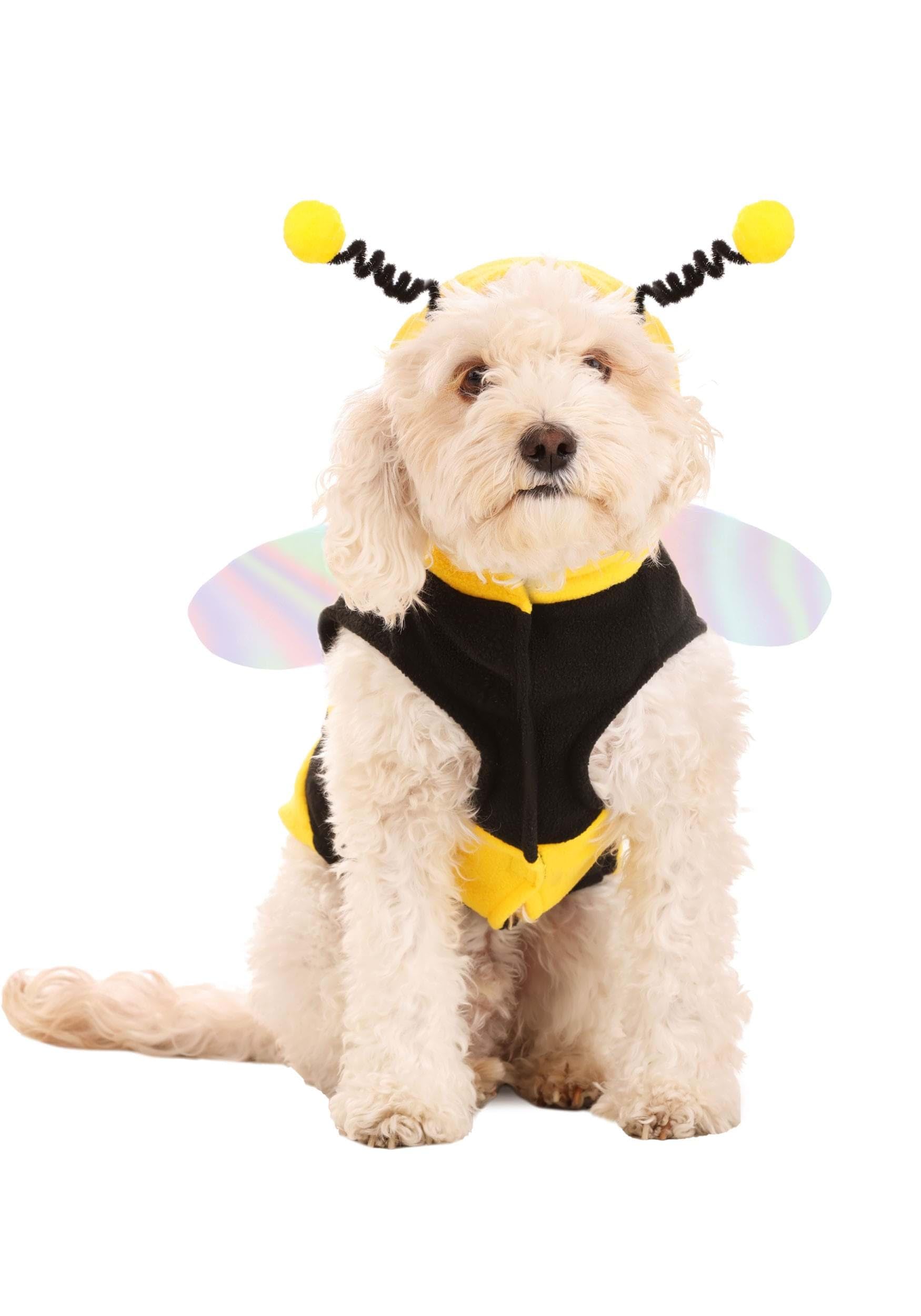 Fun Costumes Lil Bumble Bee Pet Costume, Medium, Yellow