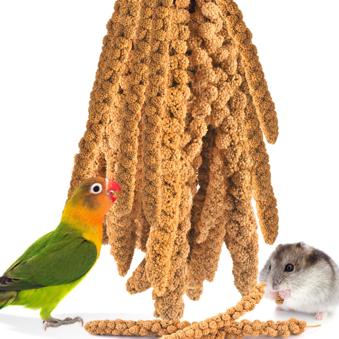 KATUMO Bird Millet Treats, 1.1LB / 500g Natural Healthy Parrot Millet Spray Cockatiel Treats for Parakeet Budgie Finch Conure Pi