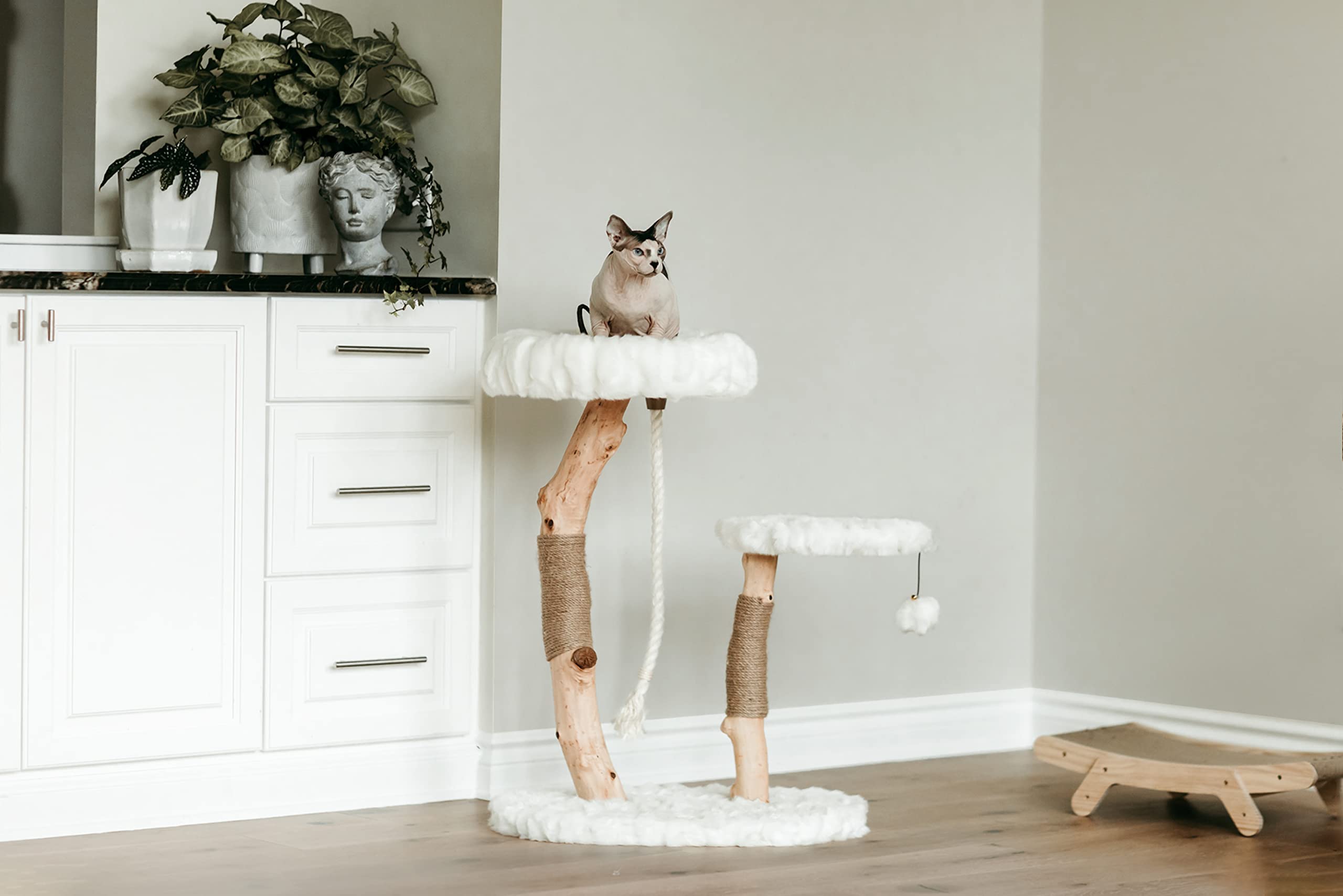 Mau Modern Cat Tree Tower, Natural Branch Cat Condo, Luxury Wood Cat Tower, Cat Scratching Tree, Cat Condo, Cat Lover Gift, Luxury Cat, Cat Gifts By Mau Lifestyle
