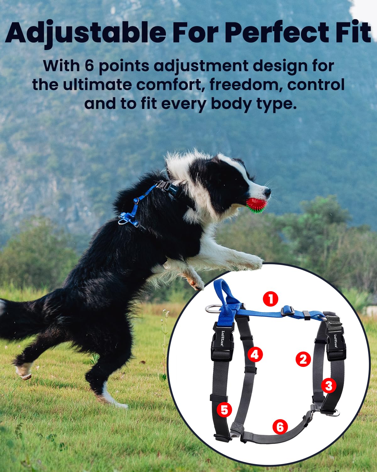 Lufelux Non-Restrictive Easy Walk Freedom No Pull Dog Harness, Keep Balance, Neck-Buckle, Six Points Adjustment, 2 Leash Clips F