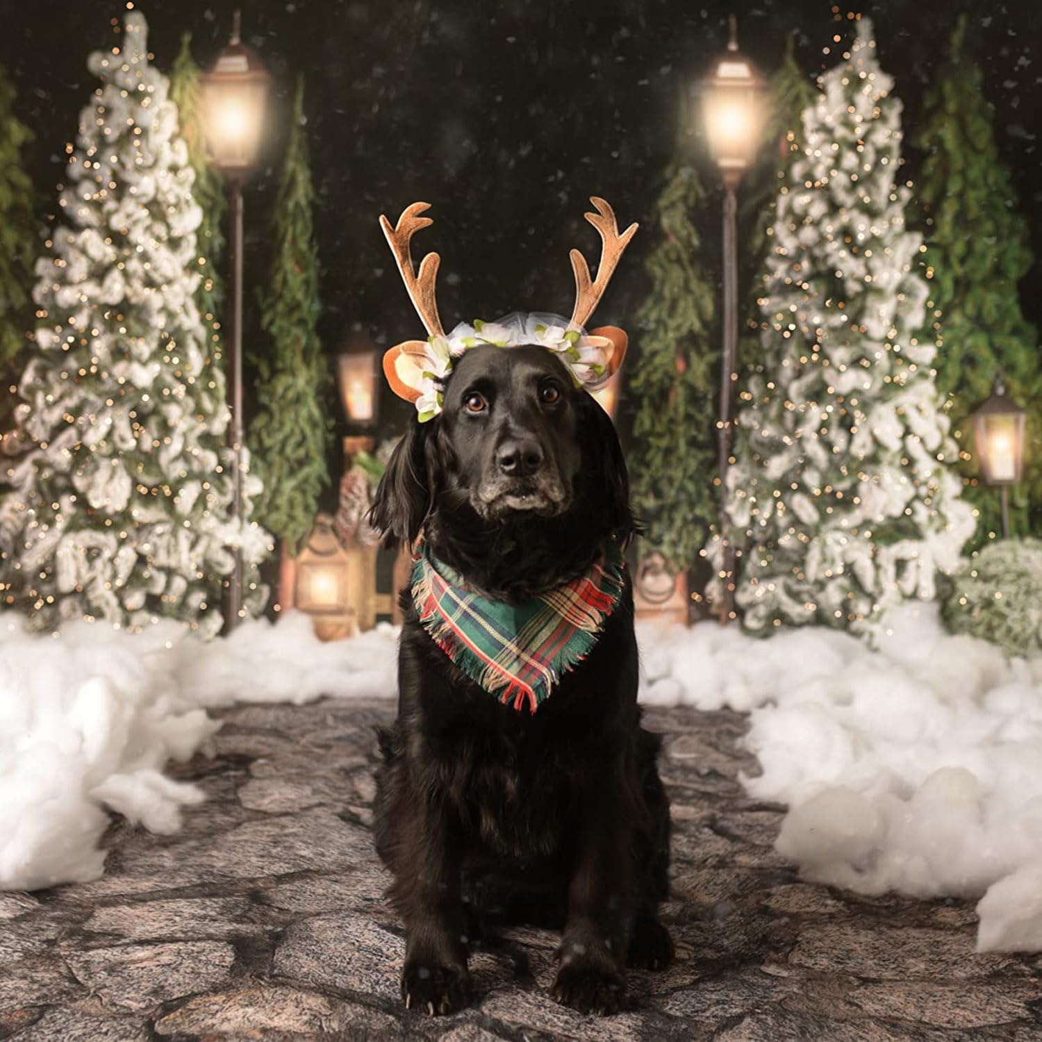 Fladorepet Pet Cat Dog Elk Antler Deer Horn Headband Headwear Hat,Halloween Christmas Dog Reindeer Deer Costume Outfits For Small Medium Large Dogs Pet Hair Accessories Apparel Gifts