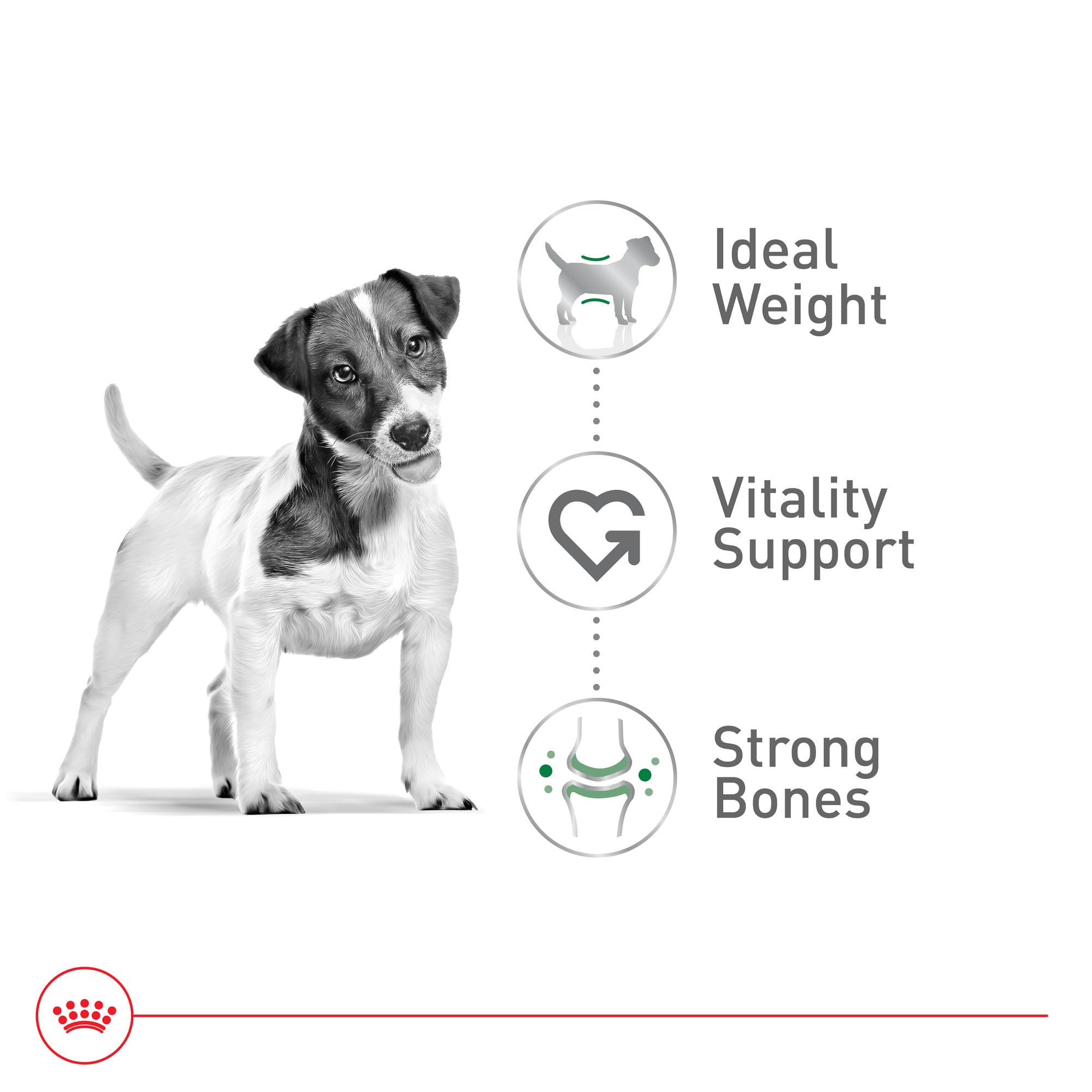 Royal Canin Size Health Nutrition Small Adult 8+ Dry Dog Food, 13 lb bag