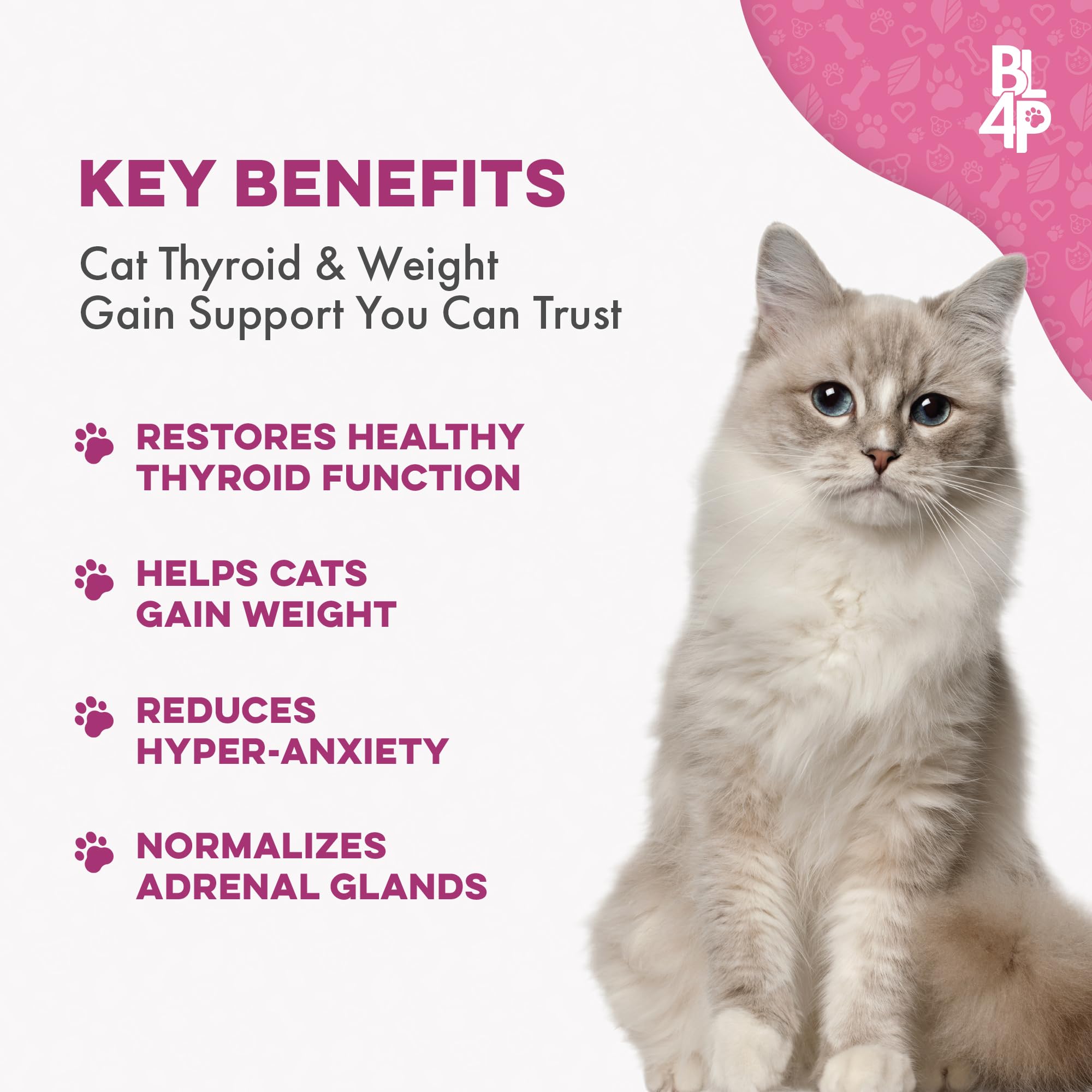 Cat Weight Gain & Hyperthyroidism Treatment, Safe and Effective Cat Appetite Stimulant, Thyroid and Metabolic Support, Weight Ma