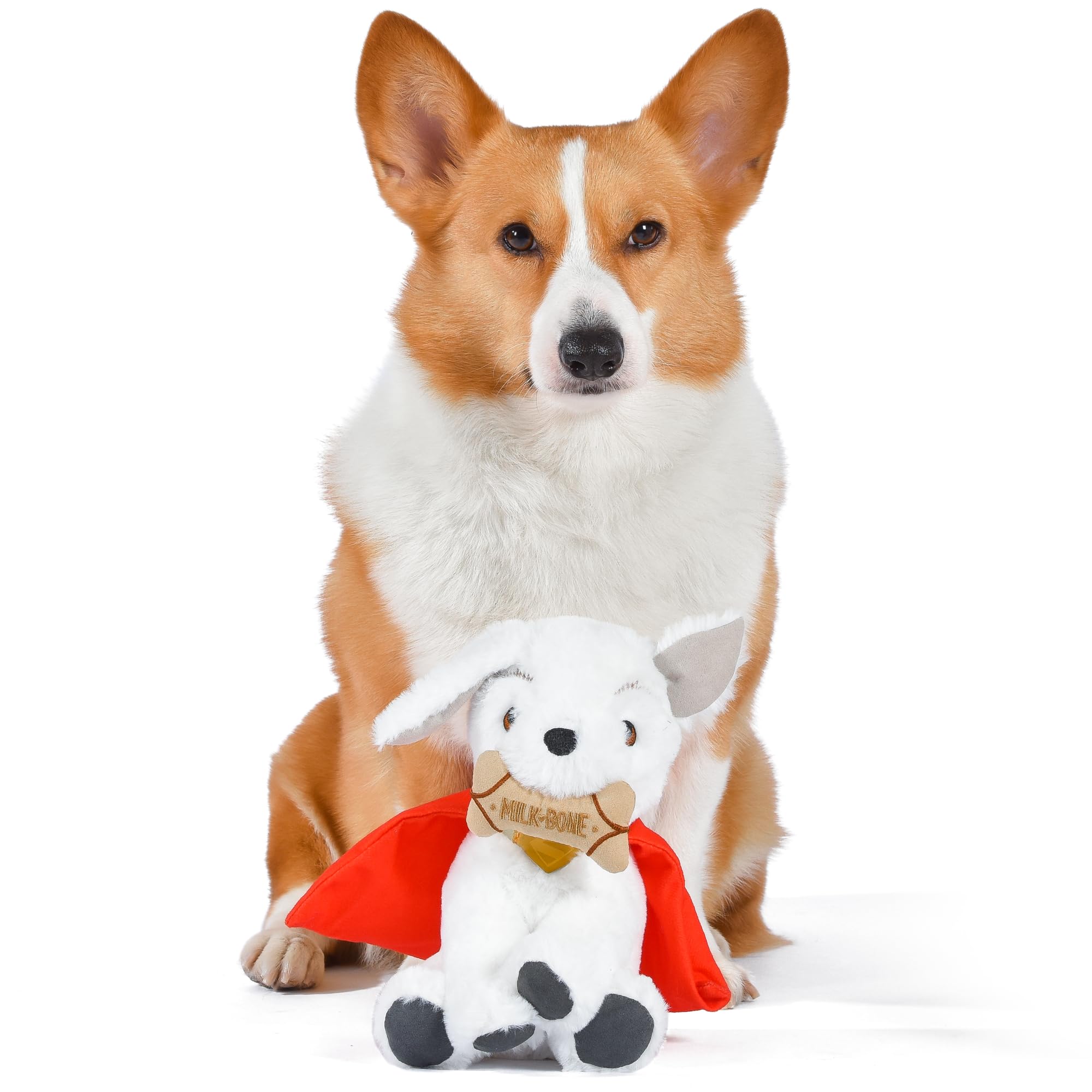 DC Comics Superman Krypto The Superdog Plush Dog Toy - Soft Squeaky Dog Toy with Crinkle Sounds, Cape & Milk-Bone Treat Design,
