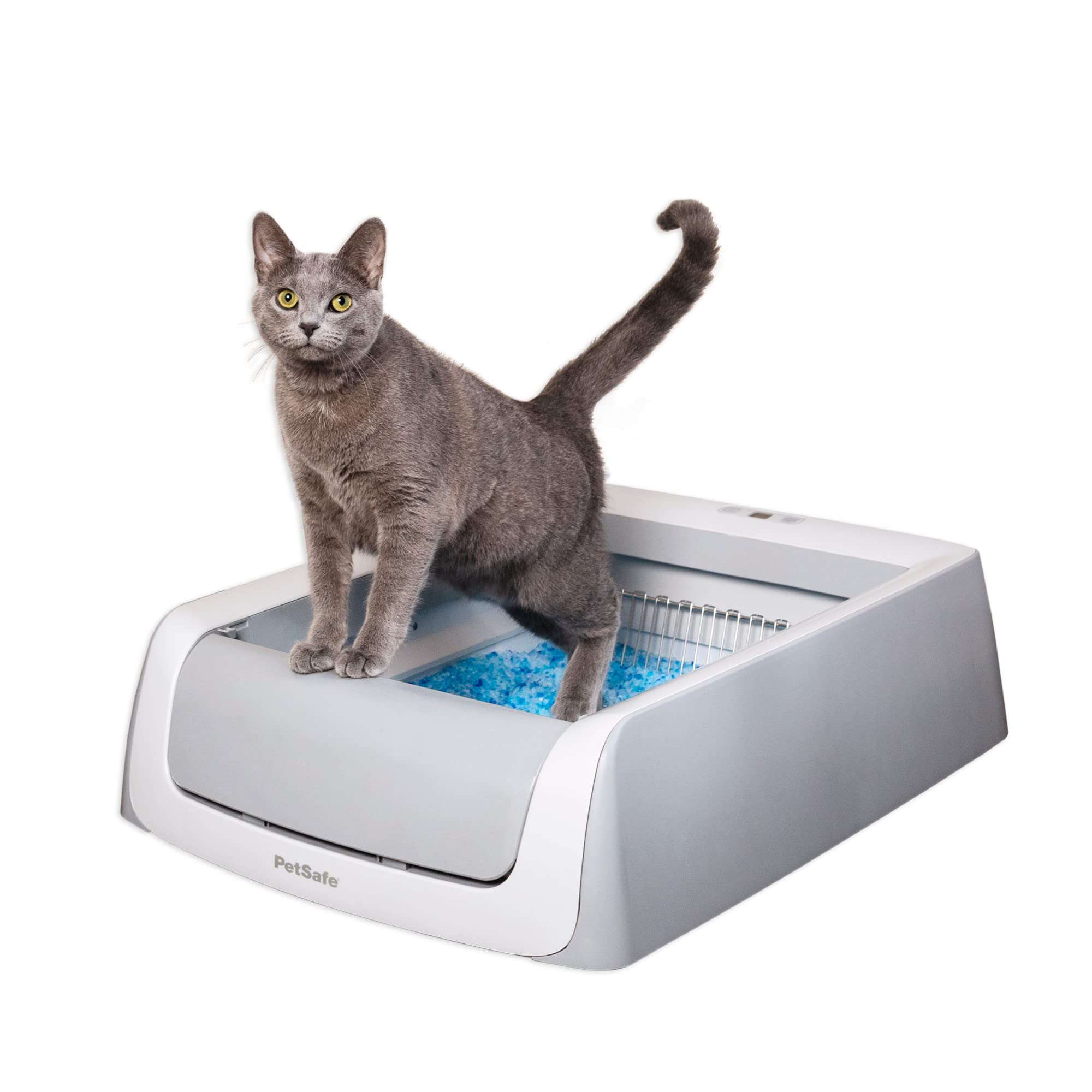 Petsafe Scoopfree Self-Cleaning Cat Litterbox - Never Scoop Litter Again - Hands-Free Cleanup With Disposable Crystal Tray - Less Tracking, Better Odor Control - Includes Disposable Tray
