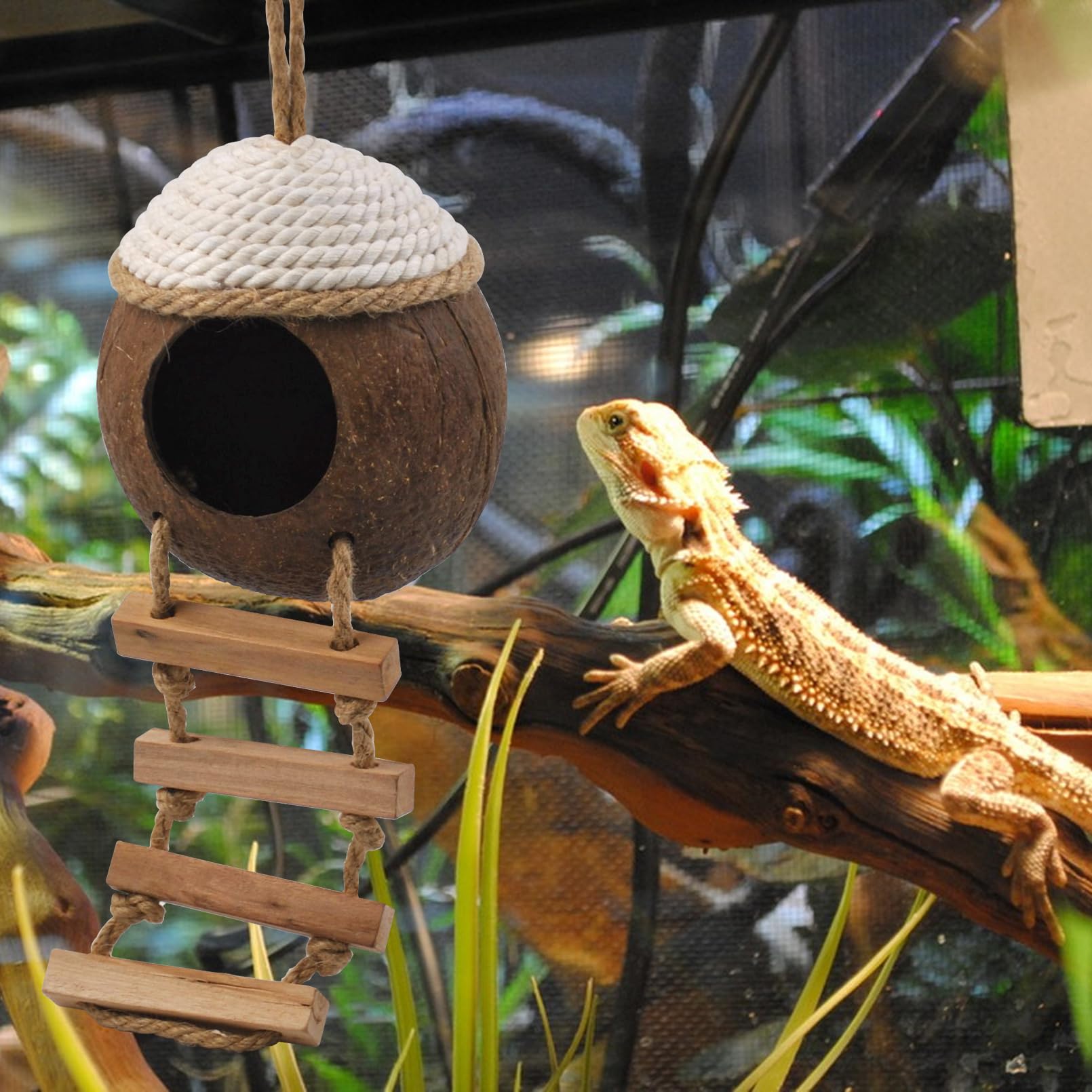 Muyg Leopard Gecko Coconut Hut With Ladder,Grested Gecko Coco Den Lizards Hanging Coconut Shell Hideout Cave Reptiles Tank Acces
