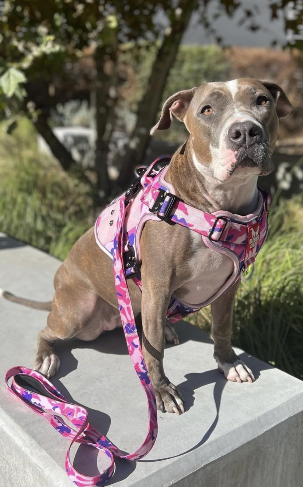 Boss Dog Tactical Leash, Pink Camo, 4 Ft