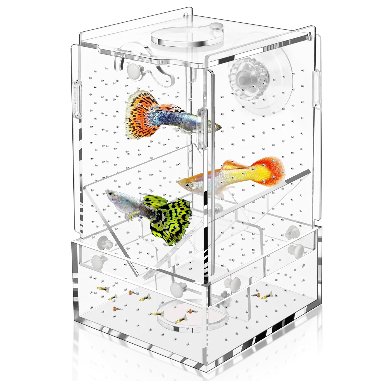 Breeder Box For Fish Tank, Fish Breeder Box For Aquarium, Acrylic Hatchery Incubator Tank With Suction Cups Isolation Box For Ba