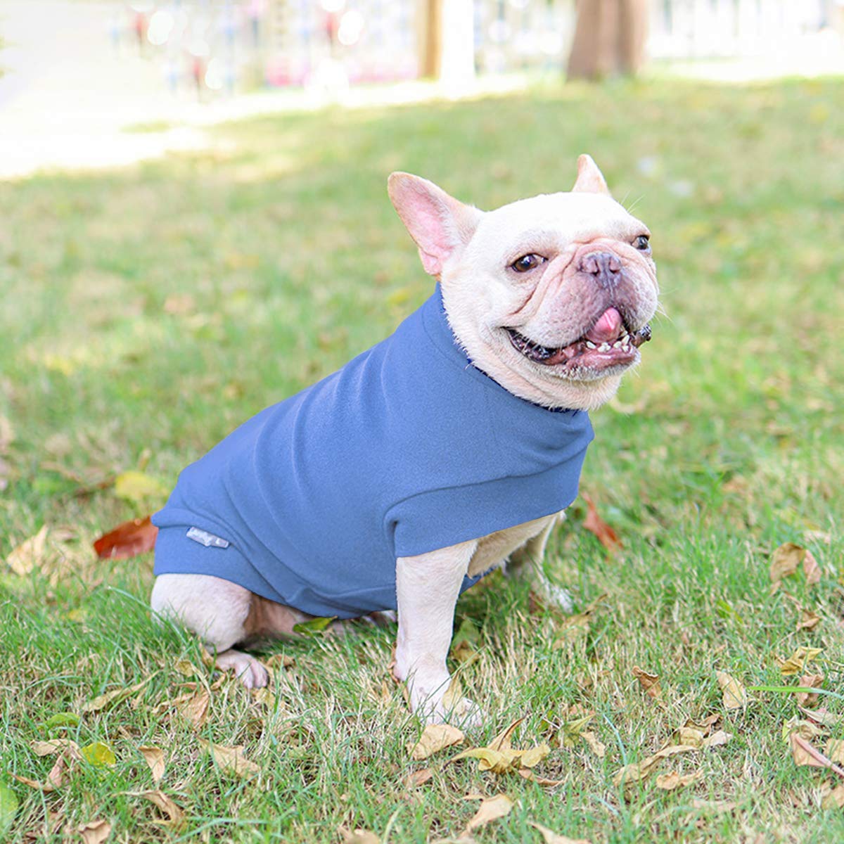Small Dogs Fleece Dog Sweatshirt - Cold Weather Hoodies Spring Soft Vest Thickening Warm Cat Sweater Puppy Clothes Sweater Winter Sweatshirt Pet Pajamas For Small Dog Cat Puppy (Large, Sky Blue)