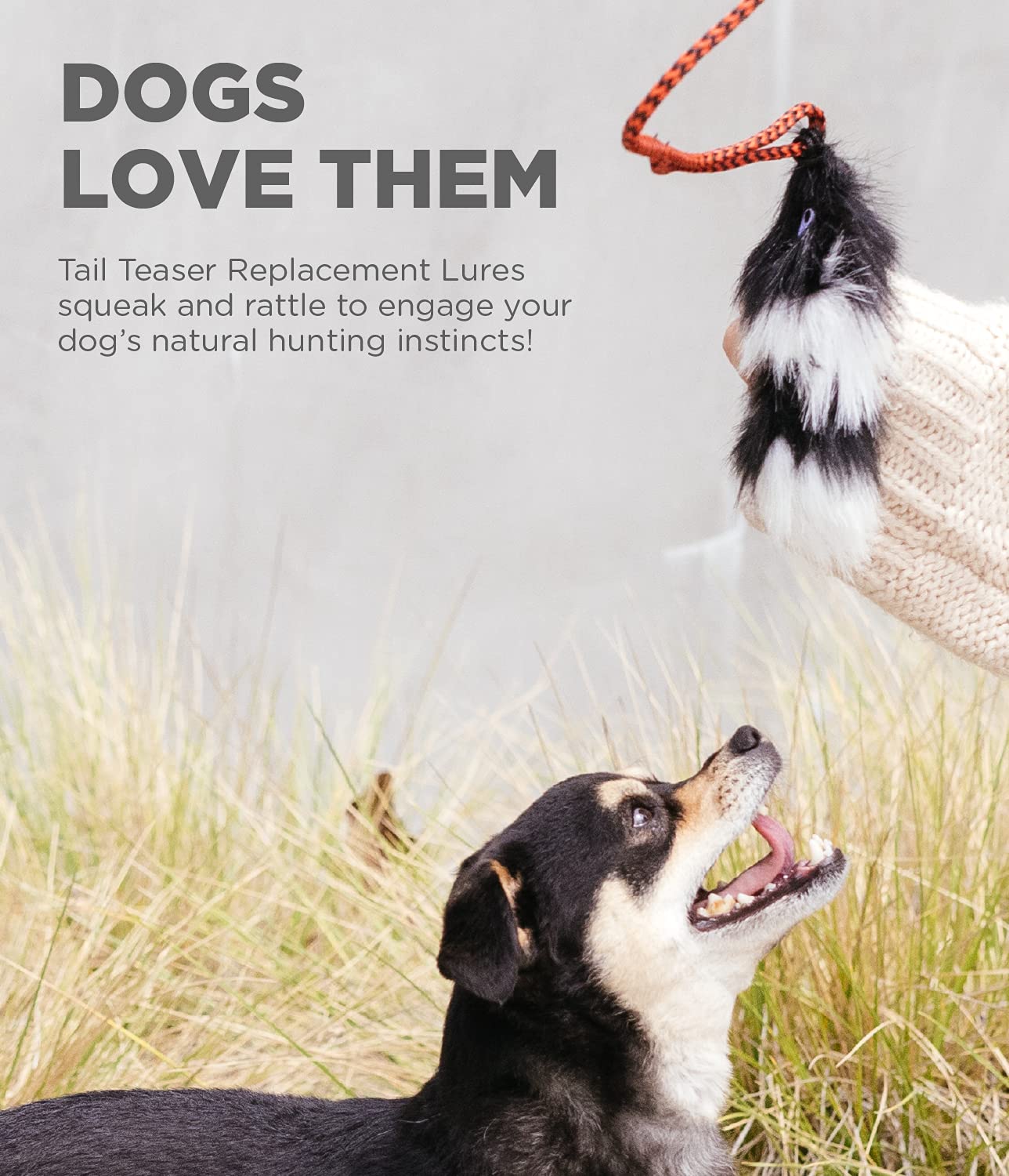 Outward Hound Tail Teaser Replacement Lure For Dog Teaser Wand, Fox