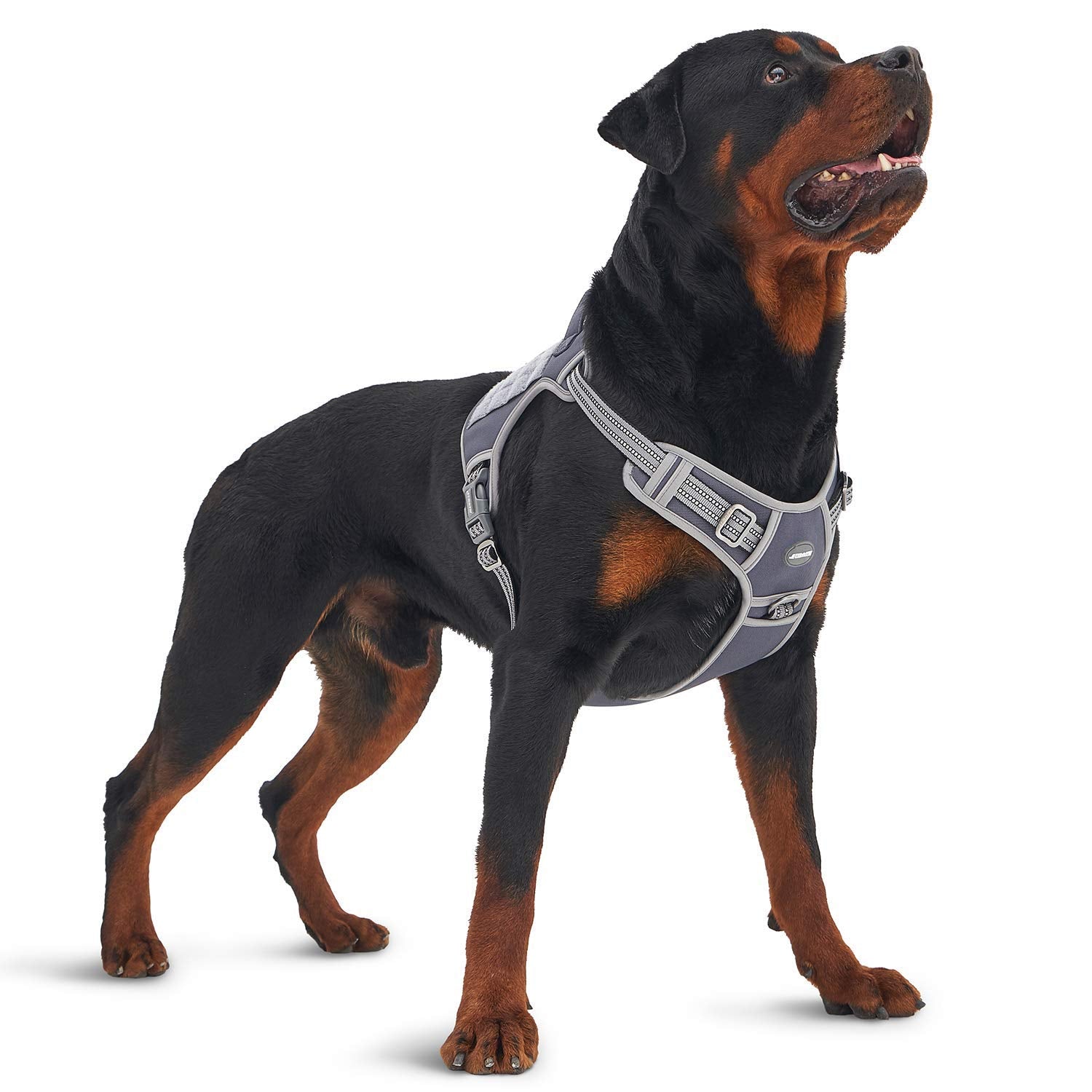 Auroth Tactical Dog Harness For Large Dogs No Pull Adjustable Pet Harness Reflective K9 Working Training Easy Control Pet Vest M