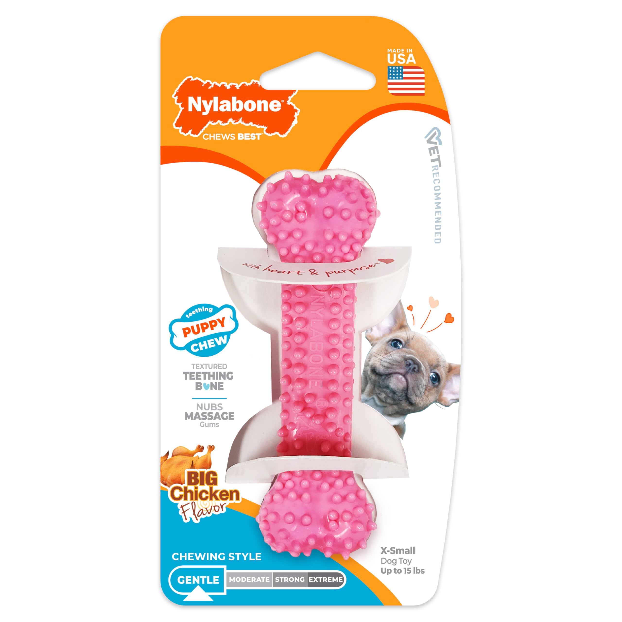 Nylabone Textured Teething Bone Chew Toy For Puppies, Puppy Chewing Toys, Pink, Chicken Flavor, X-Small - Up To 15 Ibs, 1 Count