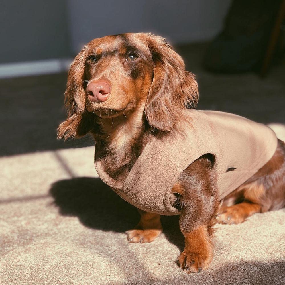 Gooby - Fleece Vest, Small Dog Pullover Fleece Jacket With Leash Ring, Clay, Large
