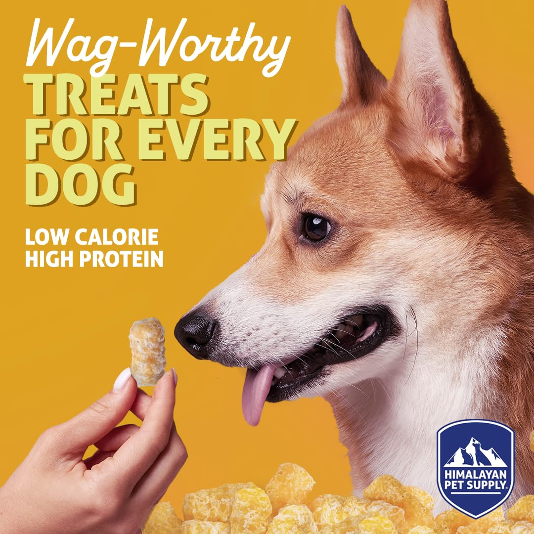 Barkeetos Dog Treats, Crunchy and Cheesy Pet Snacks Made with Real Himalayan Cheese, Gluten Free, Grain Free, Lactose Free, Natu