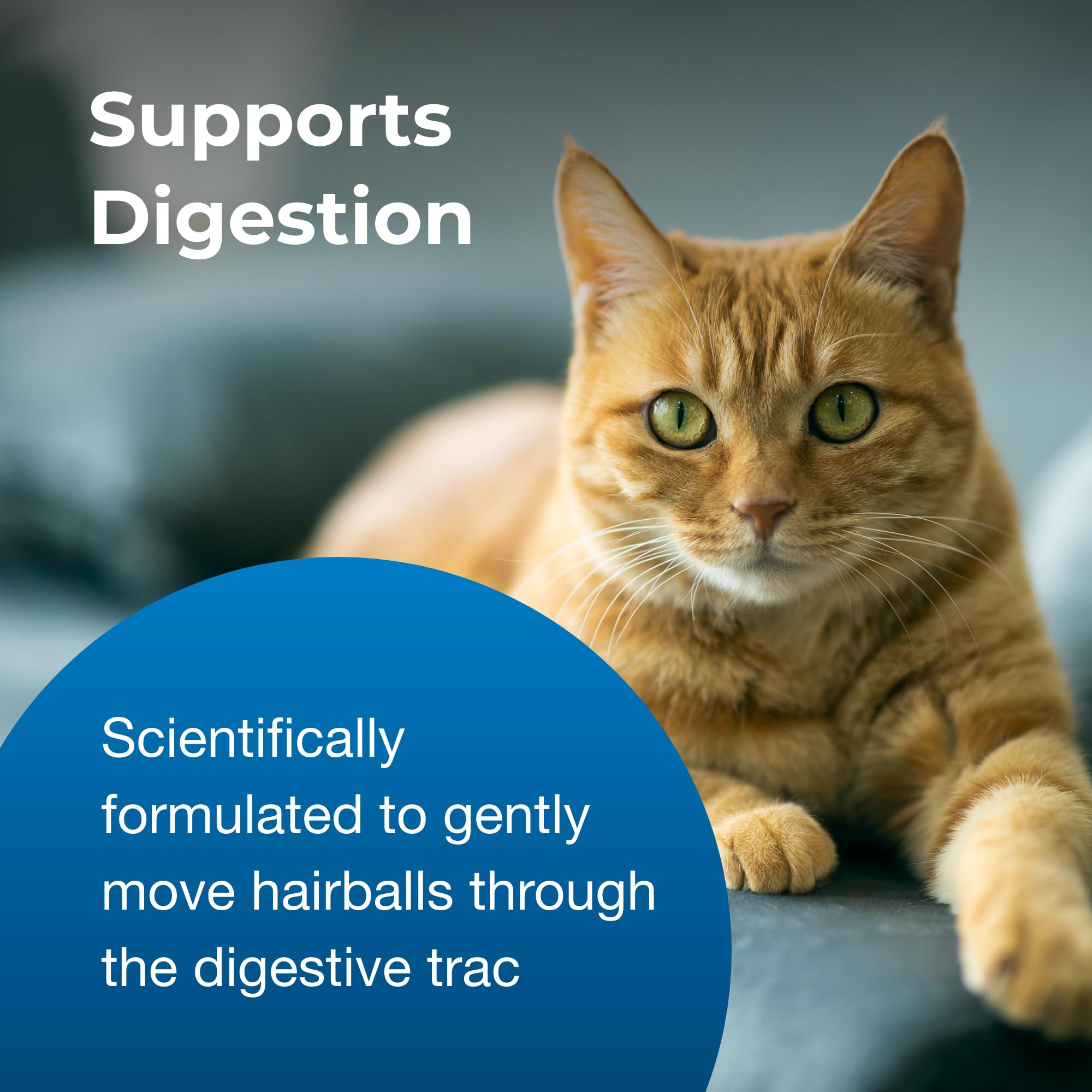 Pet-Ag Hairball Natural Solution Gel Supplement for Cats - 3.5 oz - Helps Prevent and Reduce Hairballs in Cats 6 Months and Olde