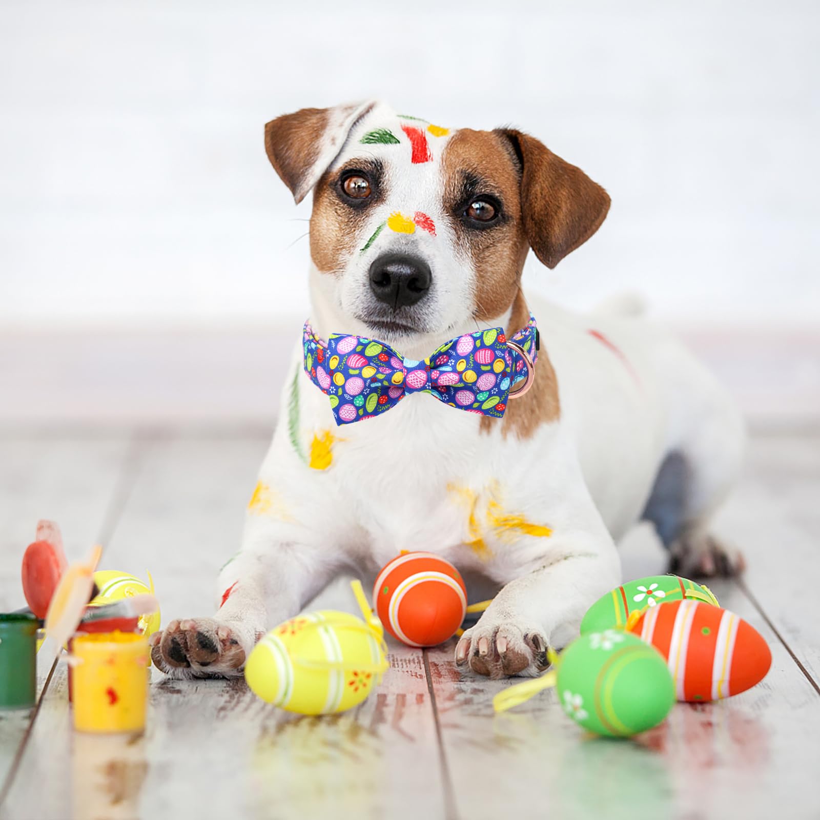 Unique Style Paws Easter Dog Collar With Bow Colorful Egg Rabbit Dog Collar Bowtie Collar For Large Medium Small Dogs