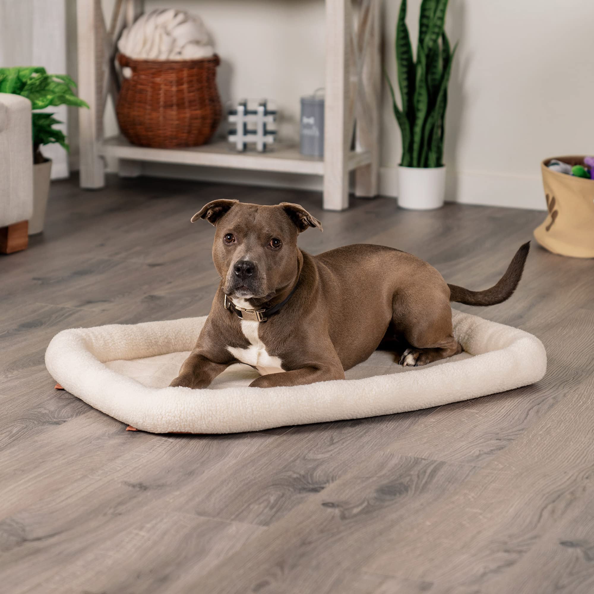 Furhaven Dog Bed For Large/Medium Dogs, 100% Washable, Sized To Fit Crates - Sherpa Fleece Bolster Crate Pad - Cream, Large, 36.