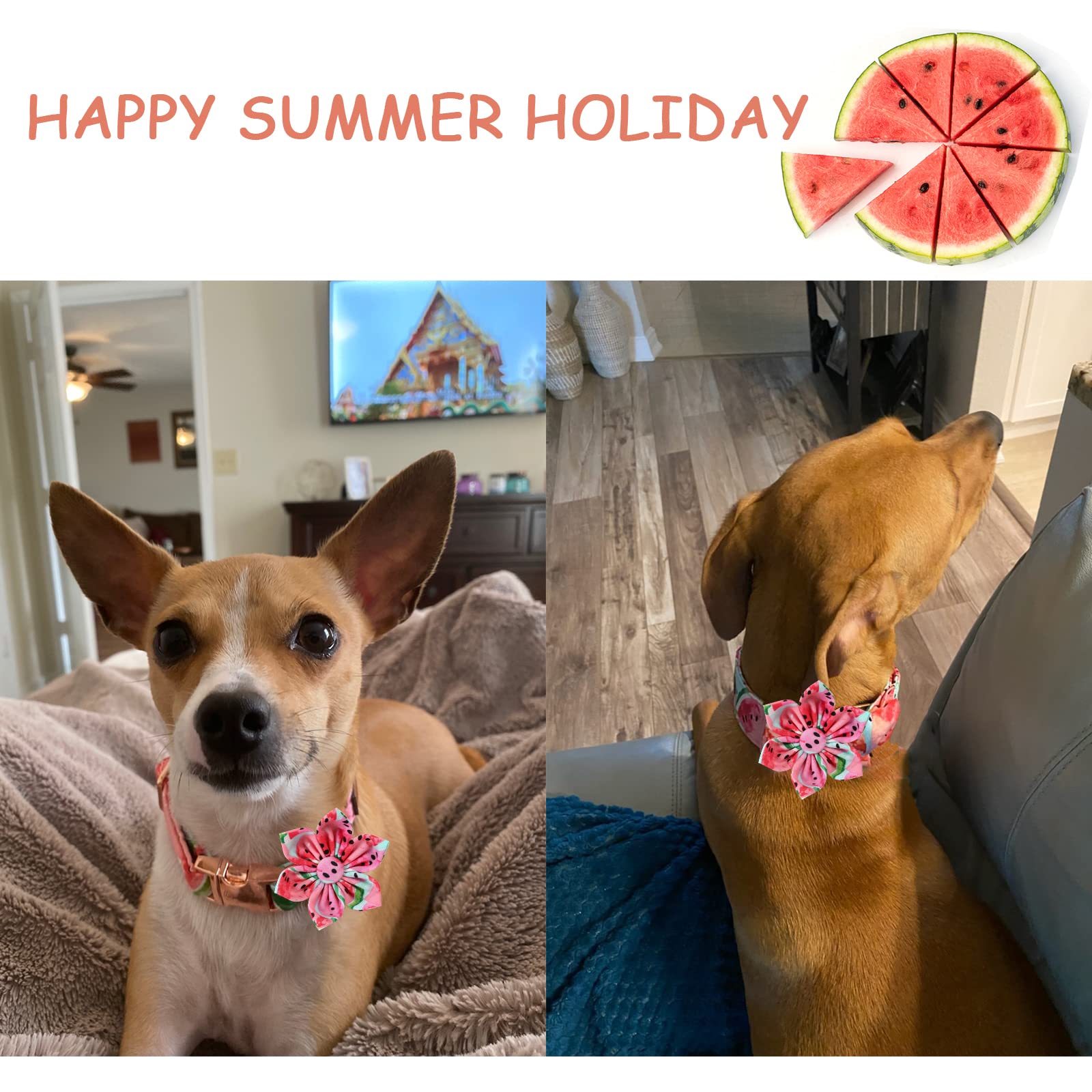 Unique Style Paws Dog Collar With Flower Tie Cotton Watermelon Collar Adjustable Summer Collar For Small Medium Large Dogs - S