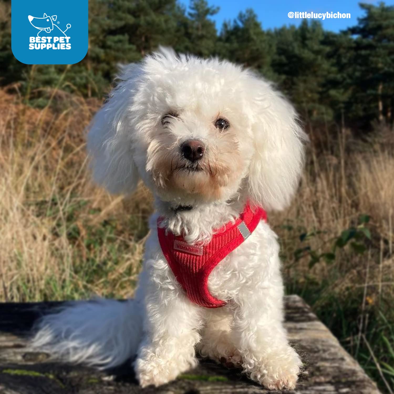 Voyager Step-In Plush Dog Harness - Soft Plush, Step In Vest Harness For Small And Medium Dogs By Best Pet Supplies - Red Cordur