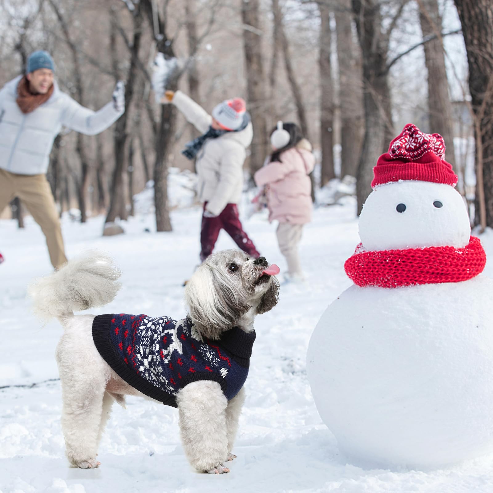 Scenereal Dog Girls Boys Sweater, Turtleneck Pullover Winter Dog Clothes - Christmas Outfit, Knitwear For Dachshund, Yorkie, Chi