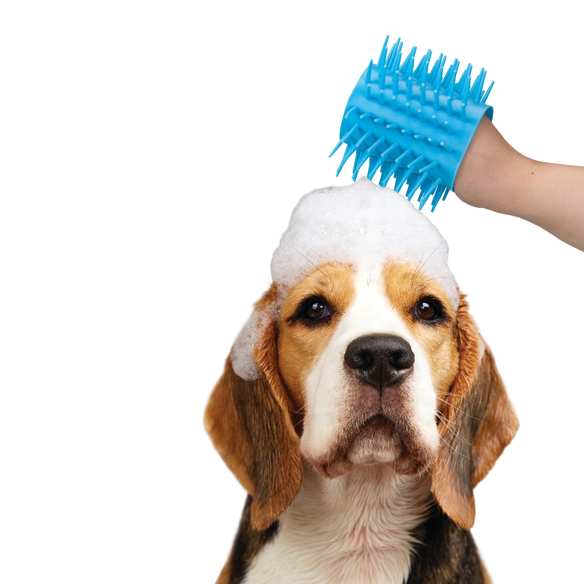 Nice Paws - Dog Paw Cleaner - Blue - Small - 1 Count - Portable Dog Paw Washer With Microfiber Towel, For Muddy Paws, Small Dogs