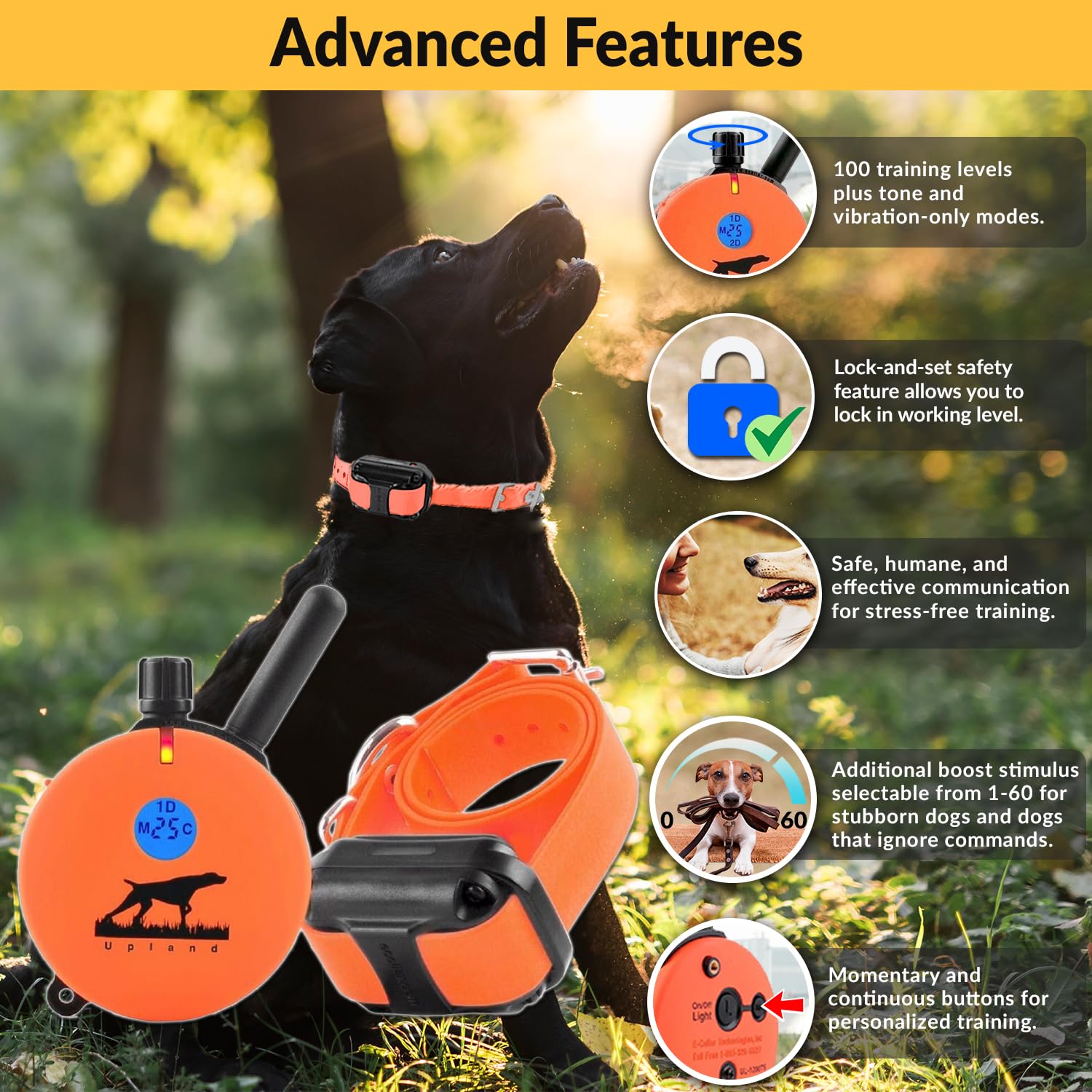 Educator E-Collar Humane Dog Training Collar With Remote, 100 Safe Tapping Stimulation Levels, Night Light, Waterproof, Rechargeable, 1 Mile 1 Large Dog, Orange