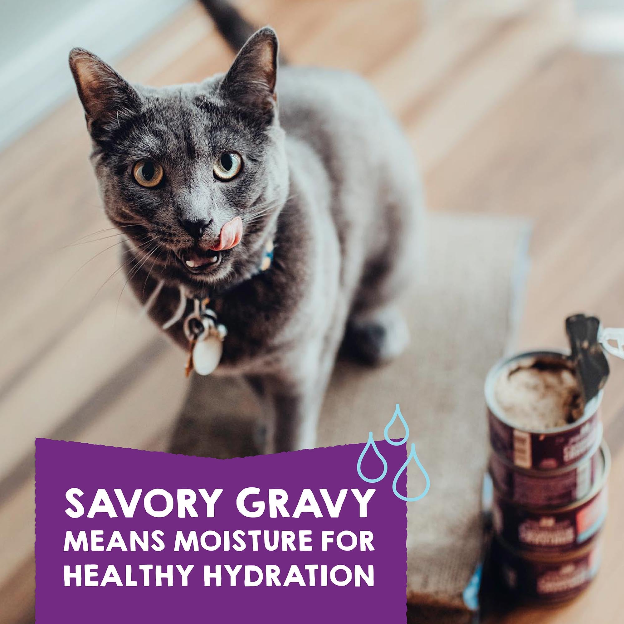 Stella & Chewys Carnivore Cravings Purrfect Pat   - Premium Grain-Free Wet Cat Food - 6 Flavor Variety Pack - High Protein with