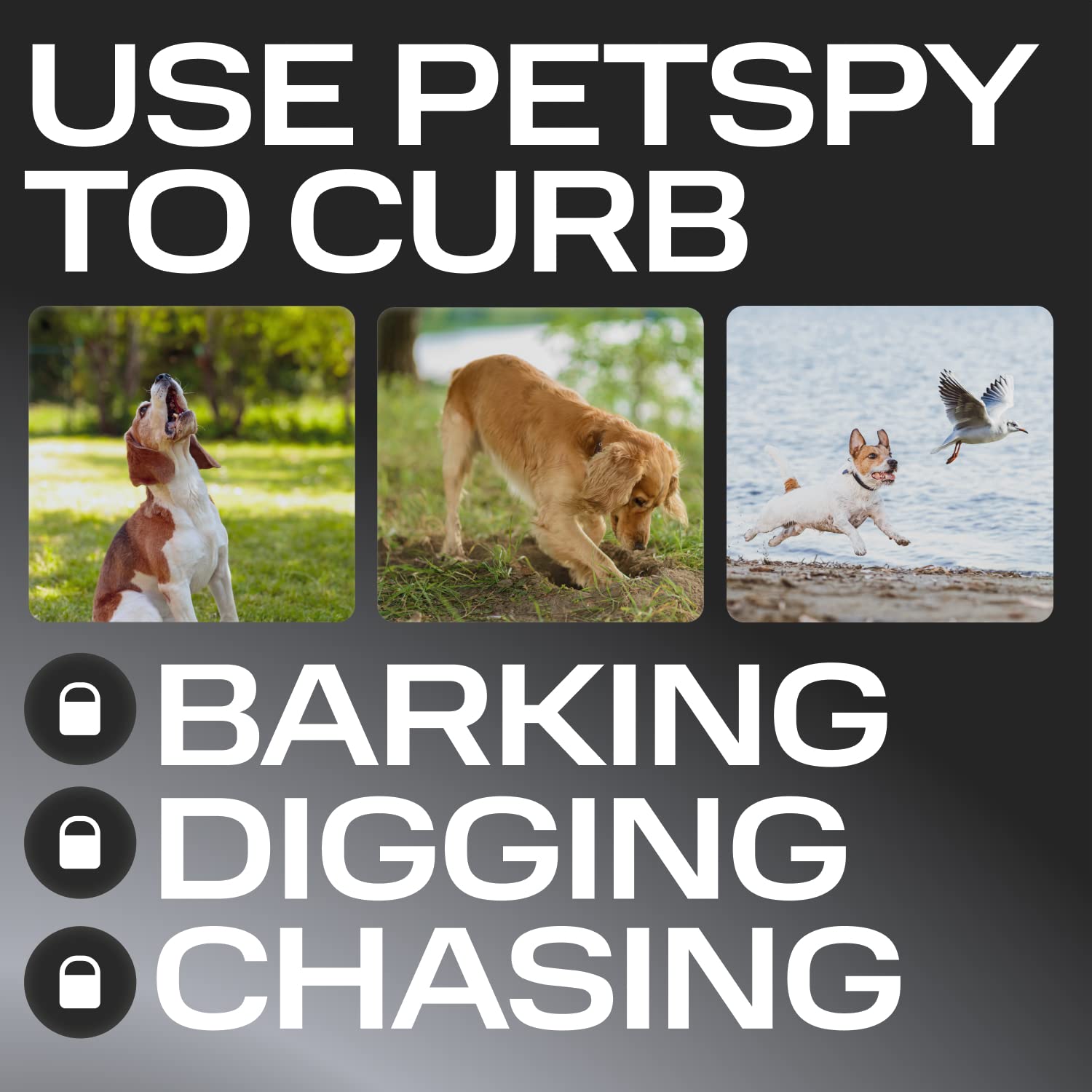 Petspy N10 Ultrasonic Dog Bark Deterrent, 2 Frequency Modes, Barking Control Device For Indoor And Outdoor With 16 Feet Range, B