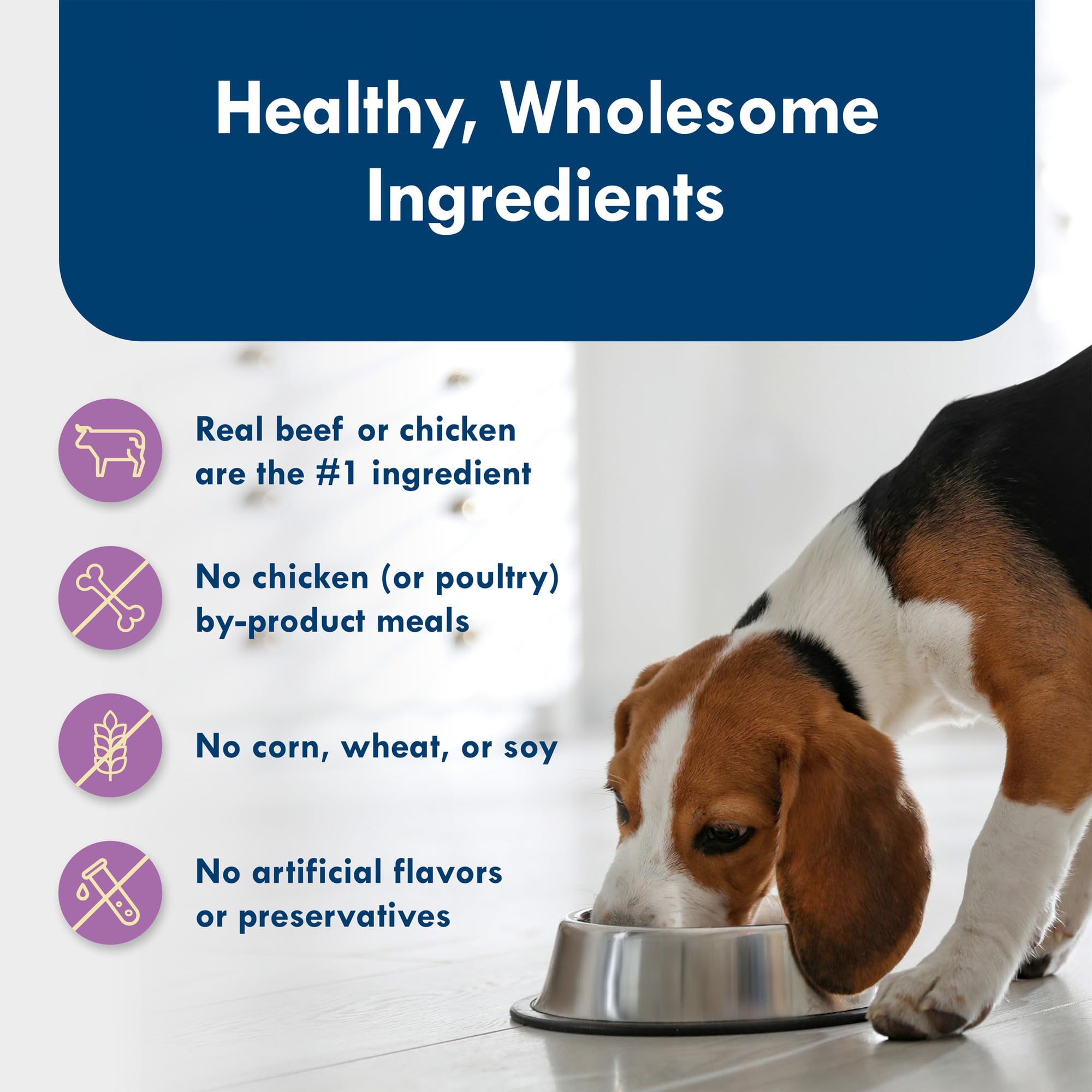 Blue Buffalo Delights Small Breed Natural Wet Dog Food Variety Pack, Top Sirloin Pat   and Grilled Chicken Pat  , 3.5-oz Cups, 1
