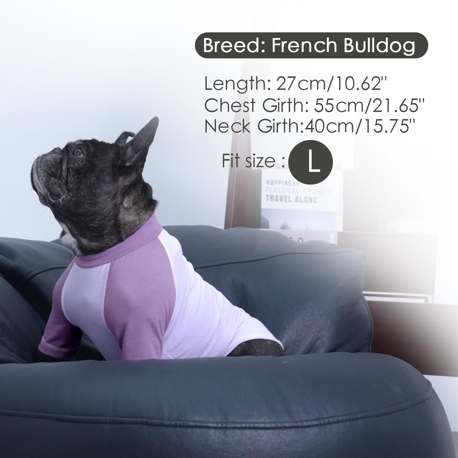 2 Pack Dog Raglan-Sleeve Shirts, Pinkpurple, Large Size Pet Tshirt For Medium Dogs Male, Wide & Comfortable Summer Pet Apparel F