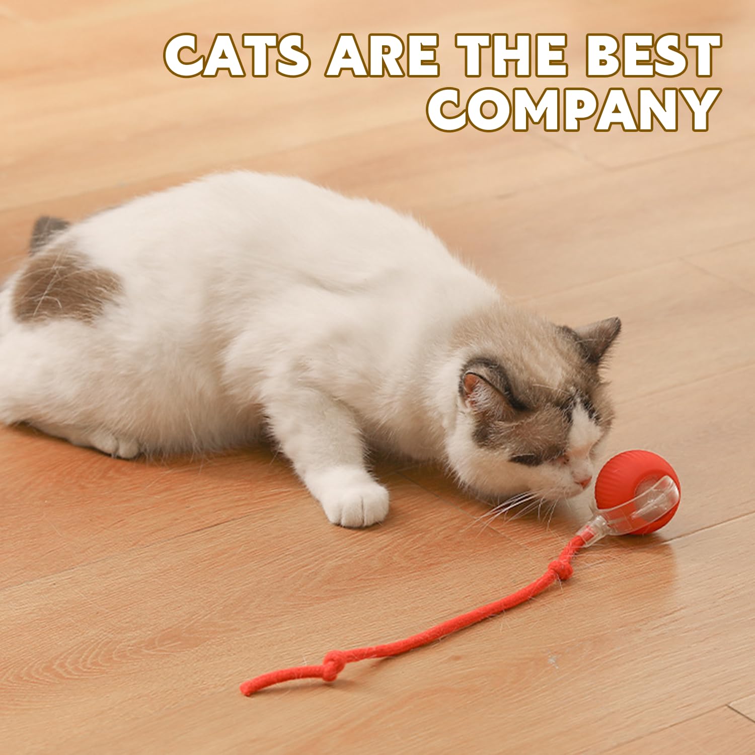 Dvhnmk Chewie Viral 360 Smart Automatic Rolling Pet Ball (3 Pcs) - Interactive Dog & Cat Toy