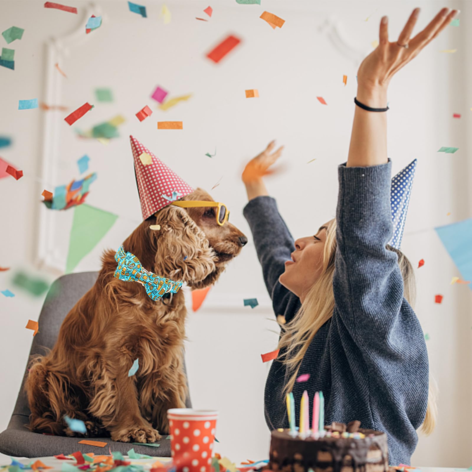 Lionheart glory Dog Collar Bow Collar Blue Dog Collar with Bow Party Collar Dog Boy or Girl Soft Durable Adjustable Dog Collars