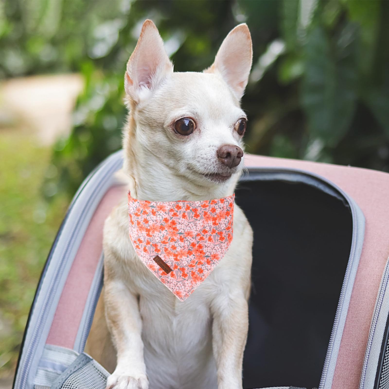 Summer Dog Bandana, Up Urara Pup Orange Bandana For Small Large Dogs, Cotton Handkerchief Cute Flower Puppy Triangle Bid Scarf F