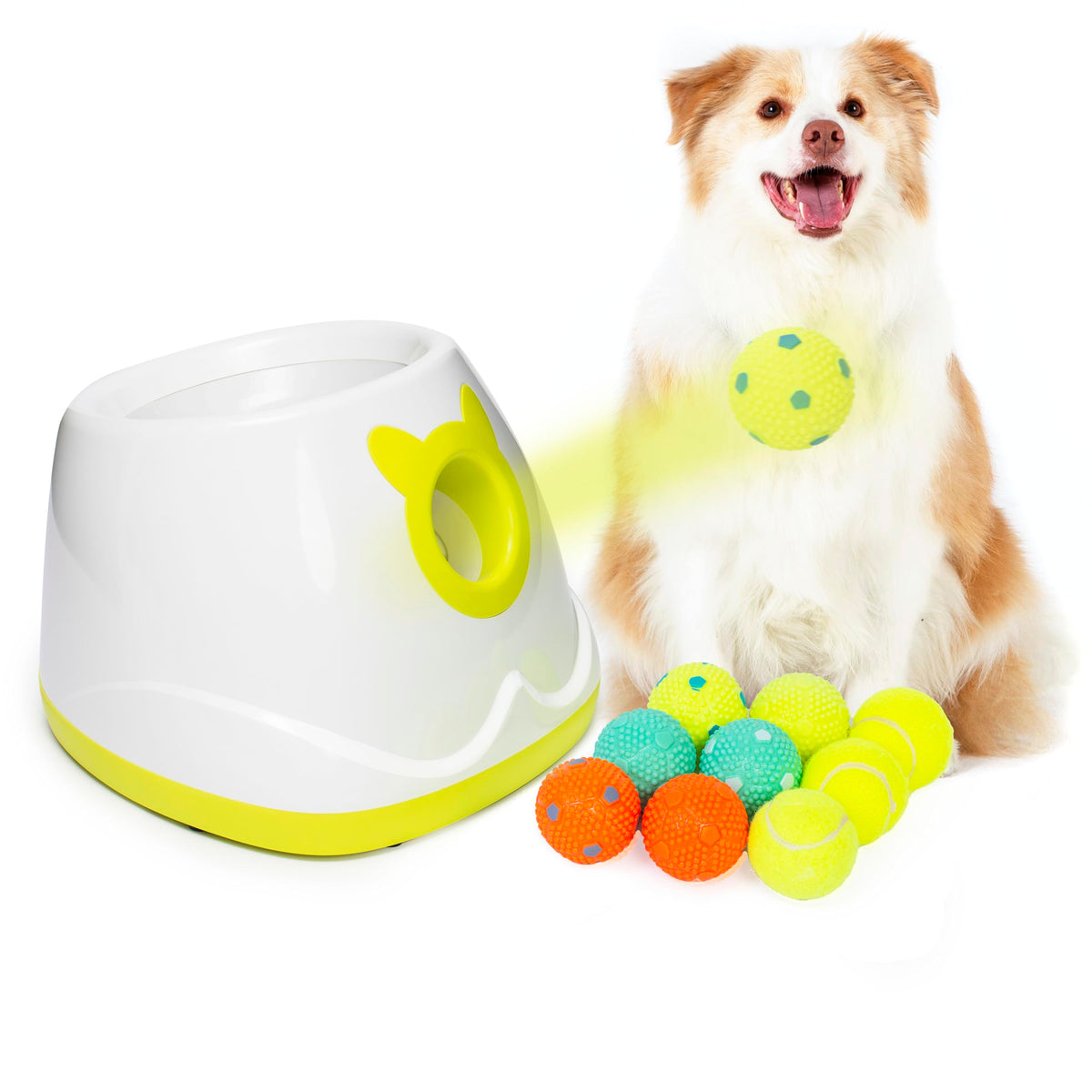 Palulu Automatic Ball Launcher For Dog, Including 9 Small Sized 2-Inch Balls, Adjustable Launch Distance, Suitable For Small To 