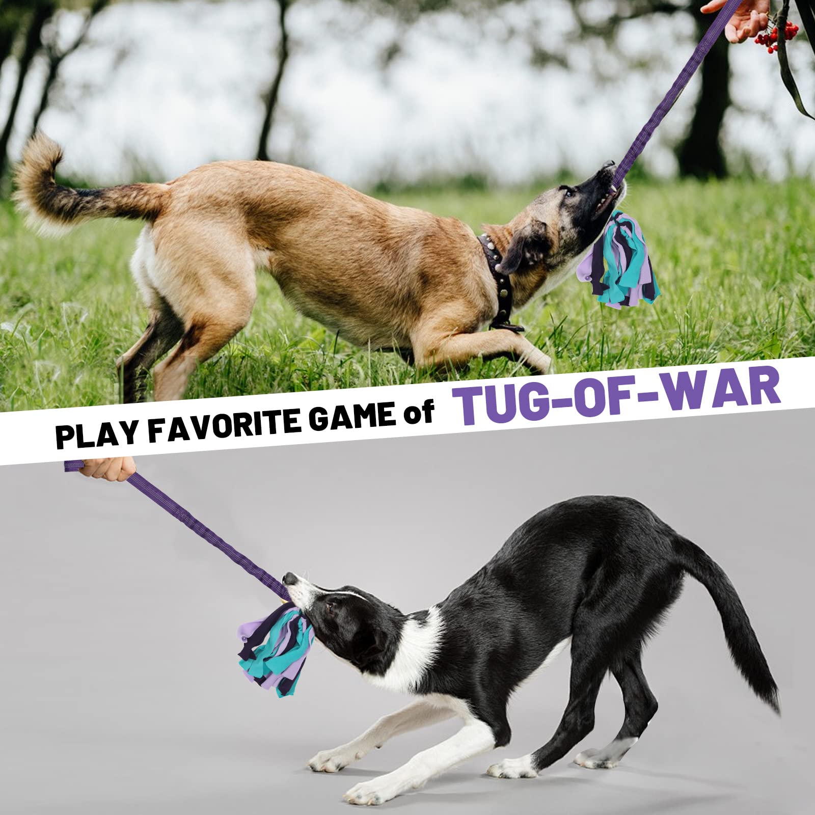 Wodoca Interactive Dog Toys, Dog Rope Toys For Aggressive Chewers -Tough Rope Tug Of War Dog Toys, Dog Tug Toy For Boredom For Small Medium Puppy Interacting Games (Purple)