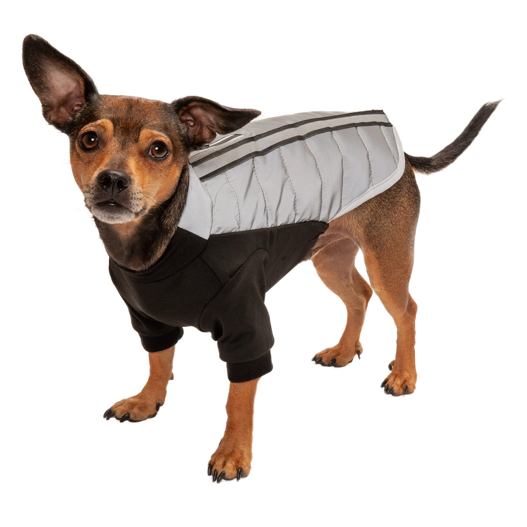 Furhaven X-Small Dog Coat Water-Repellent Reflective Pro-Fit Active Jacket, Washable - Chrome, Extra Small
