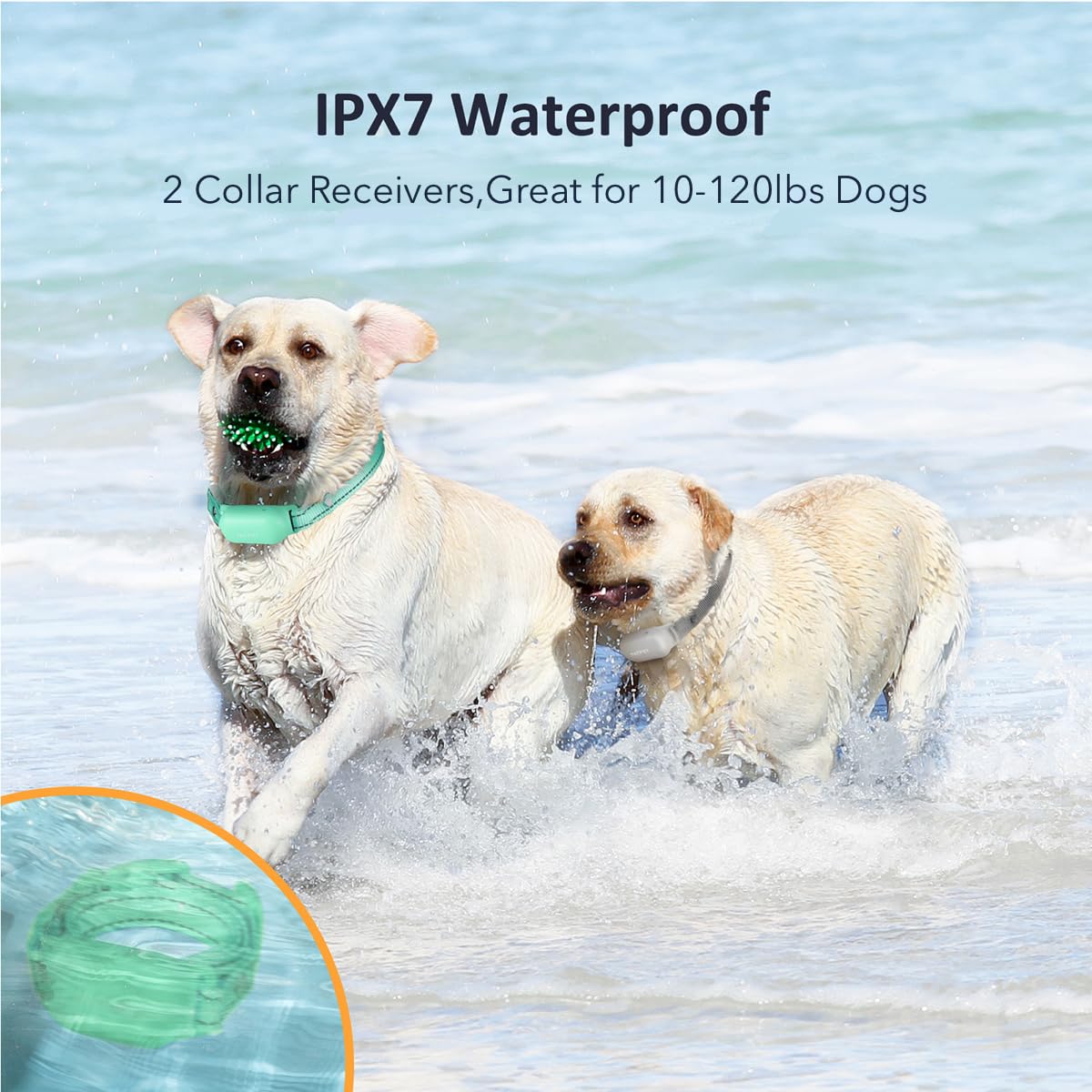 Patpet Shock Collar For Dogs(10-120Lbs), 4000Ft Rechargeable Ipx7 Waterproof Training Collar With Remote For 2 Dogs- Electric Do